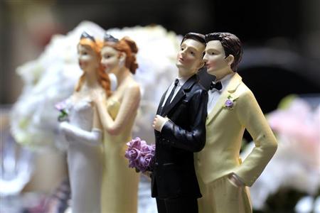 Divisions au sein de l’UMP sur la question du mariage homosexuel
