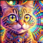 Avatar du membre