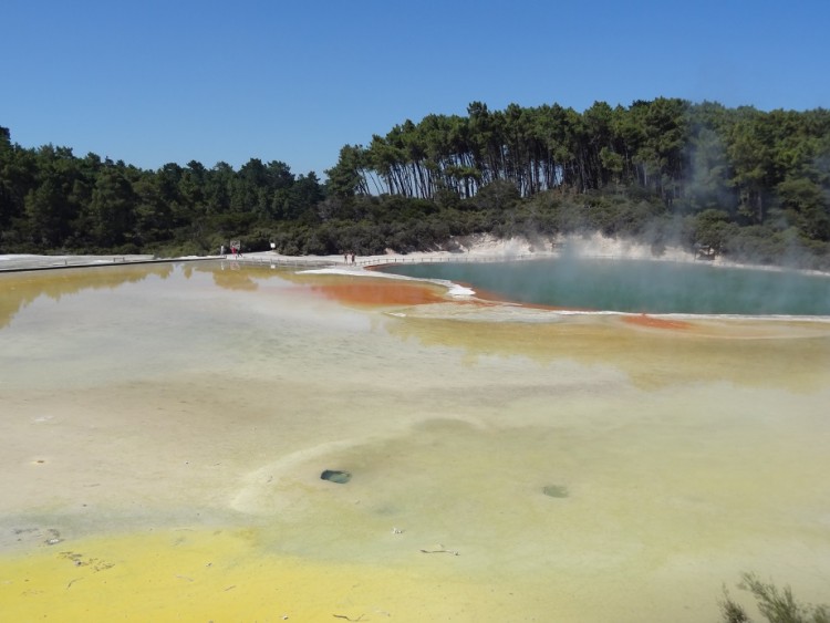 wai o tapu 2.jpg