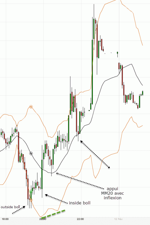 bollinger-W-dow.gif