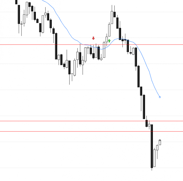 EURUSD-2015-02-24-trade_02-bis.png