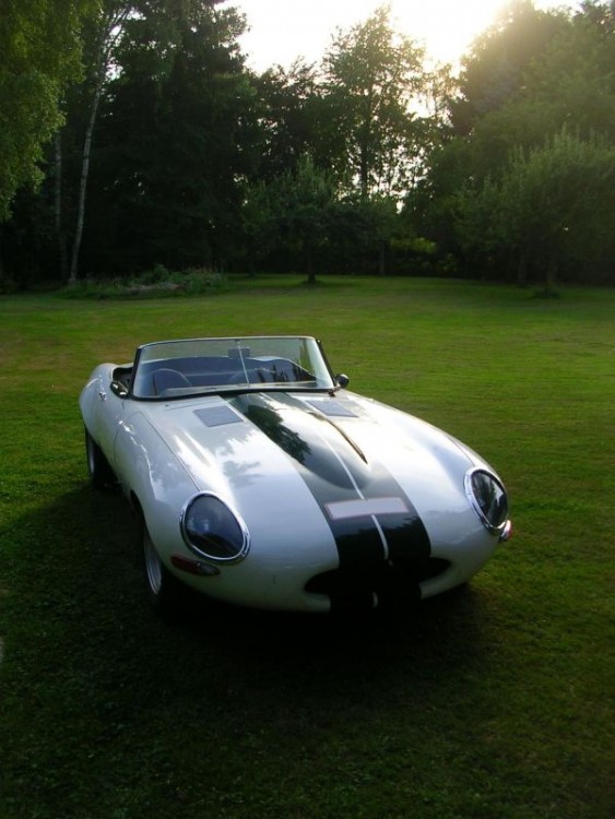 E type 1b.jpg