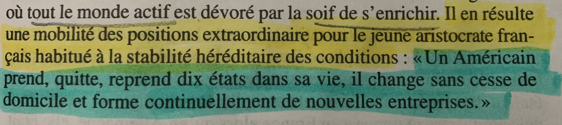 466E8CD9-BDD4-487A-A152-0E6847FA2F19.jpeg