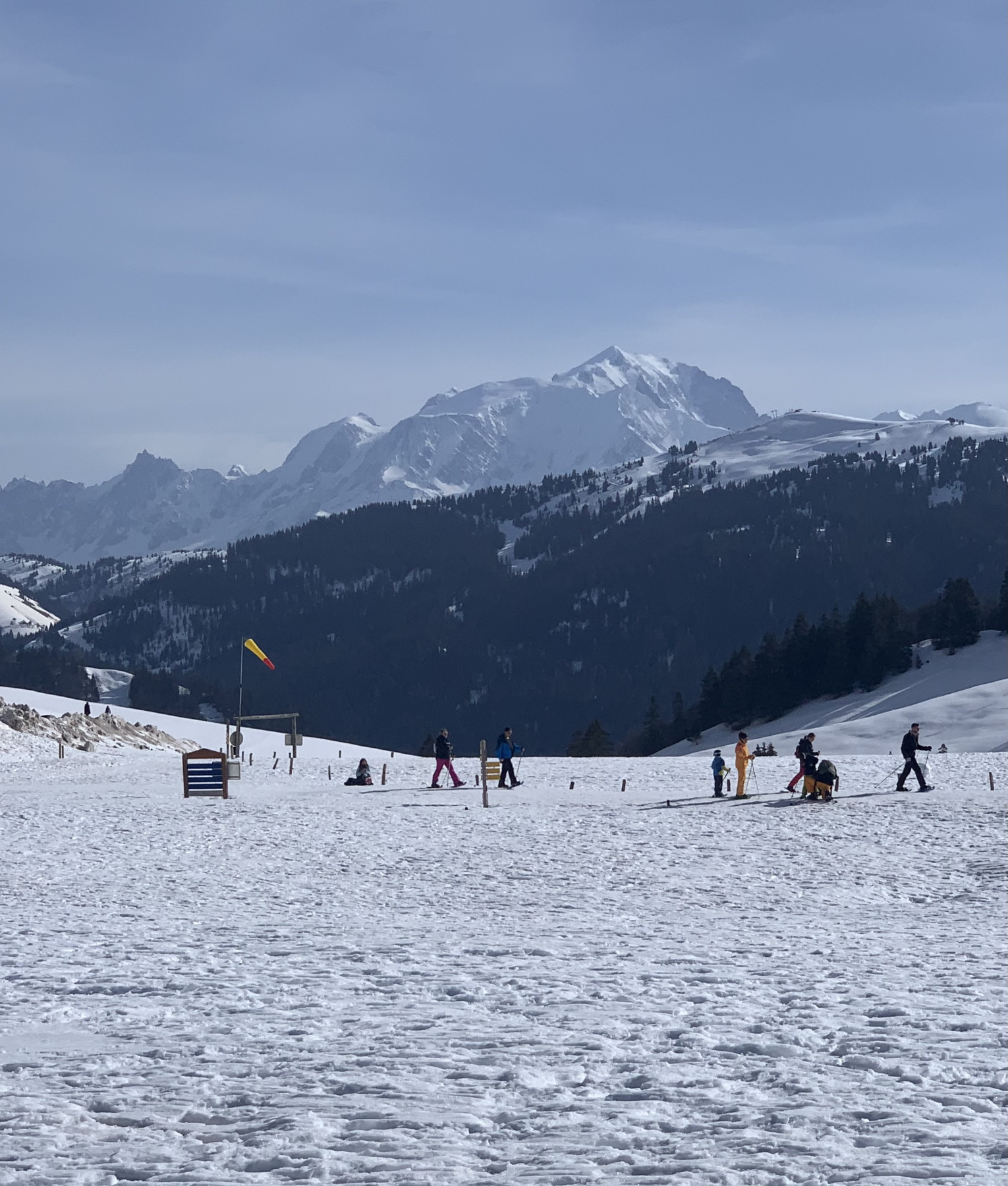 857E099B-0252-4FAF-BCFE-6BDF62833FE9.jpeg