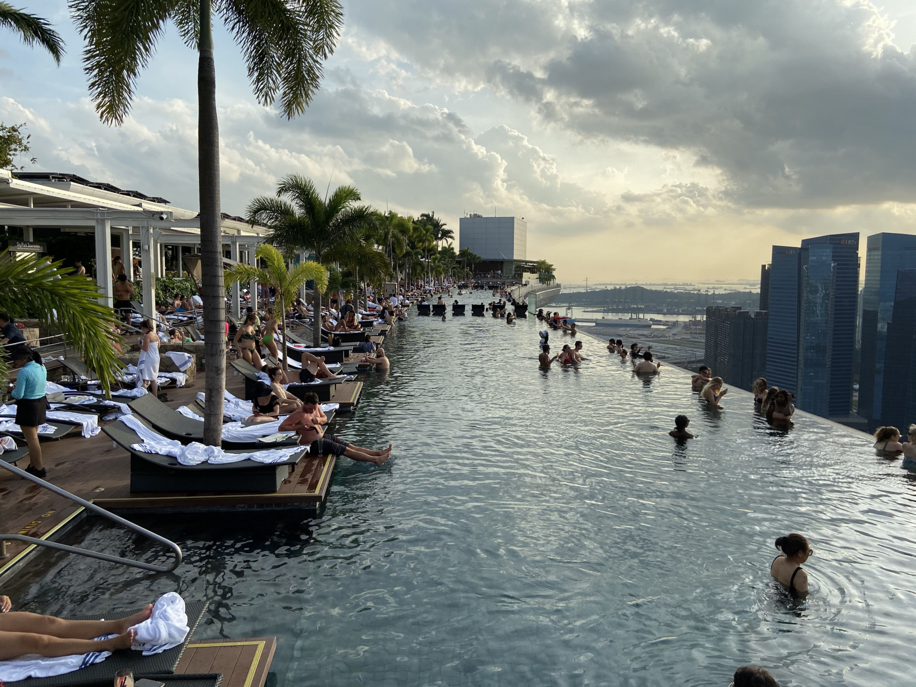 Singapore_-_Marina_Bay_Sands_Hotel_Infinity_Pool_IMG_4678 (1).jpg
