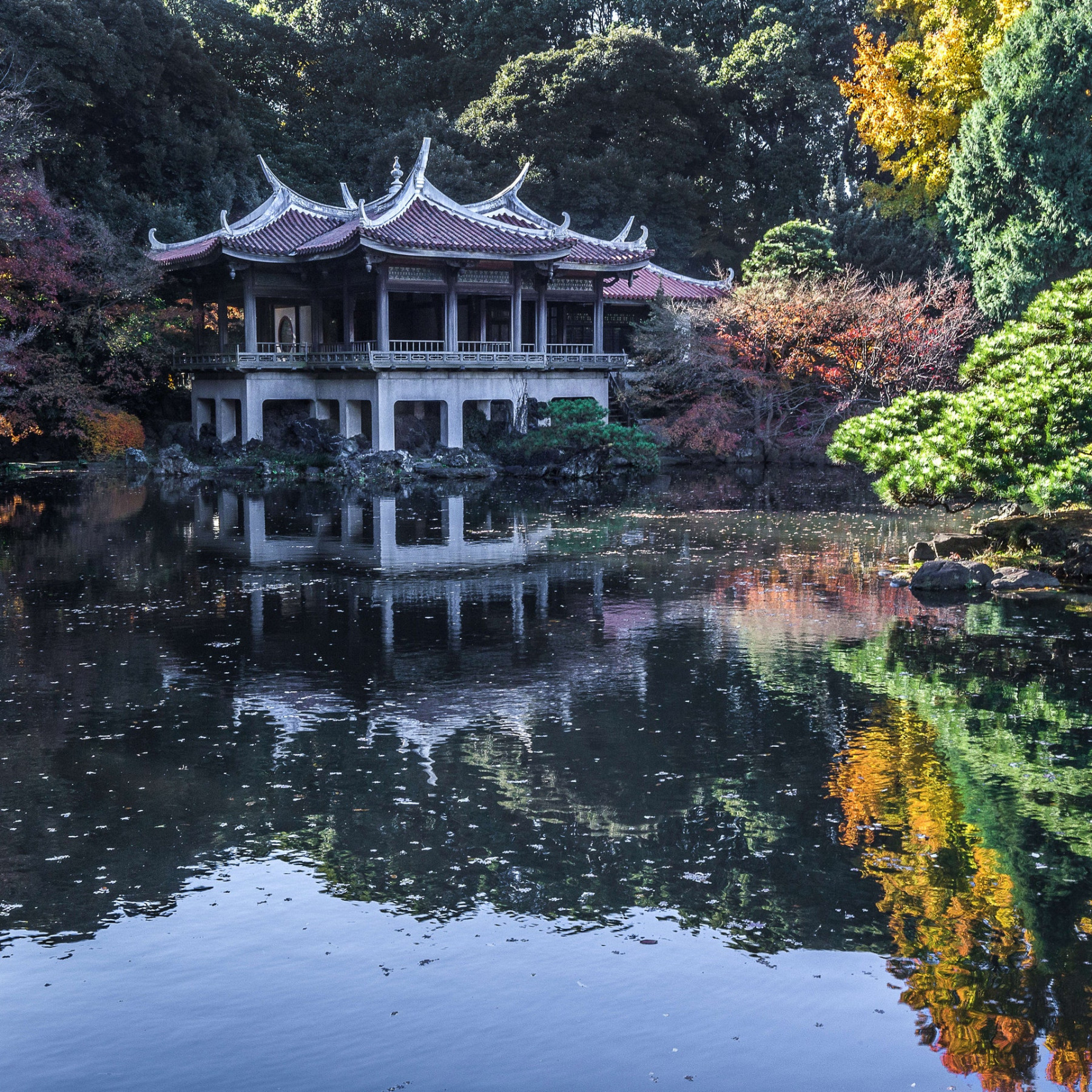 Shinjuku-Gyoen-National-Garden_2018_GettyImages-629620202.jpg