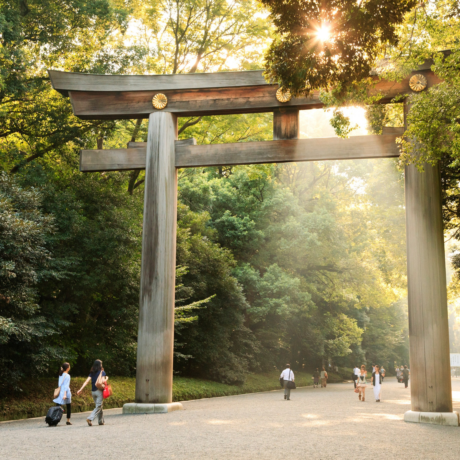 Yoyogi%20Park_GettyImages-148508569.jpg