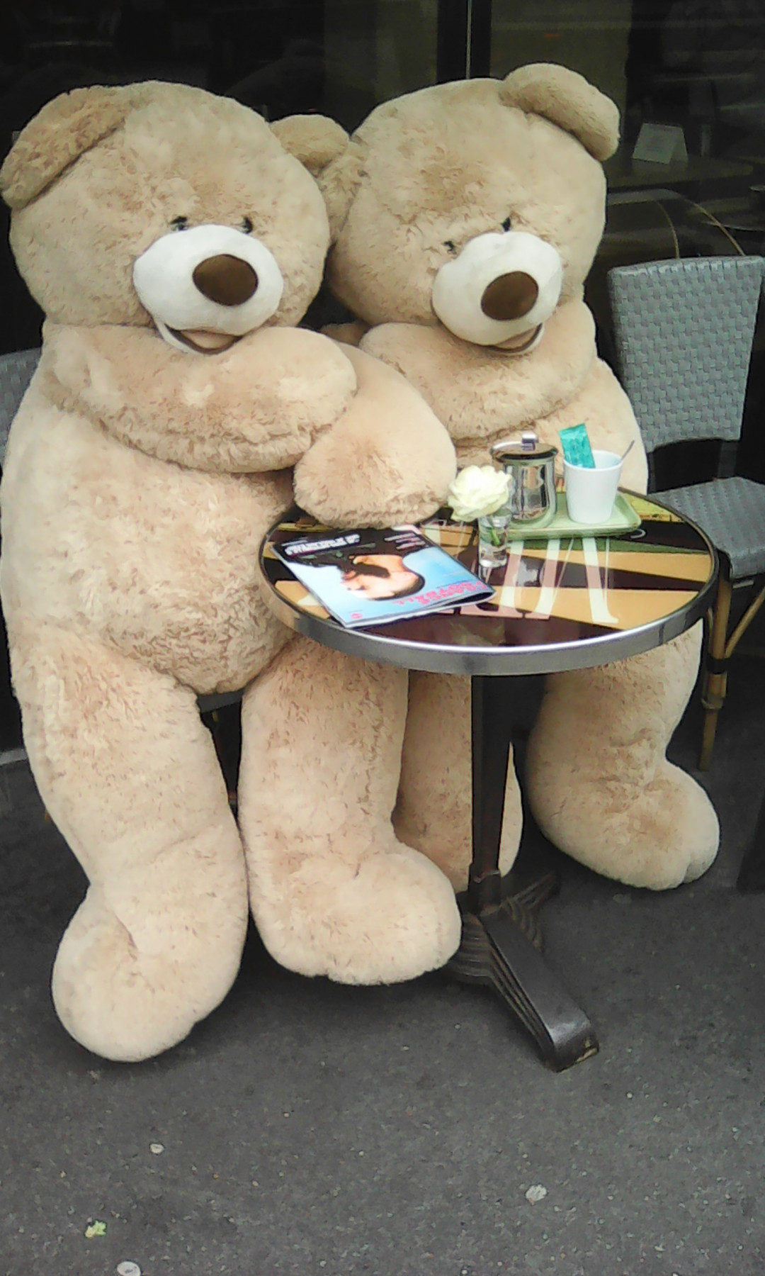 IMG_20220121_110307.jpg