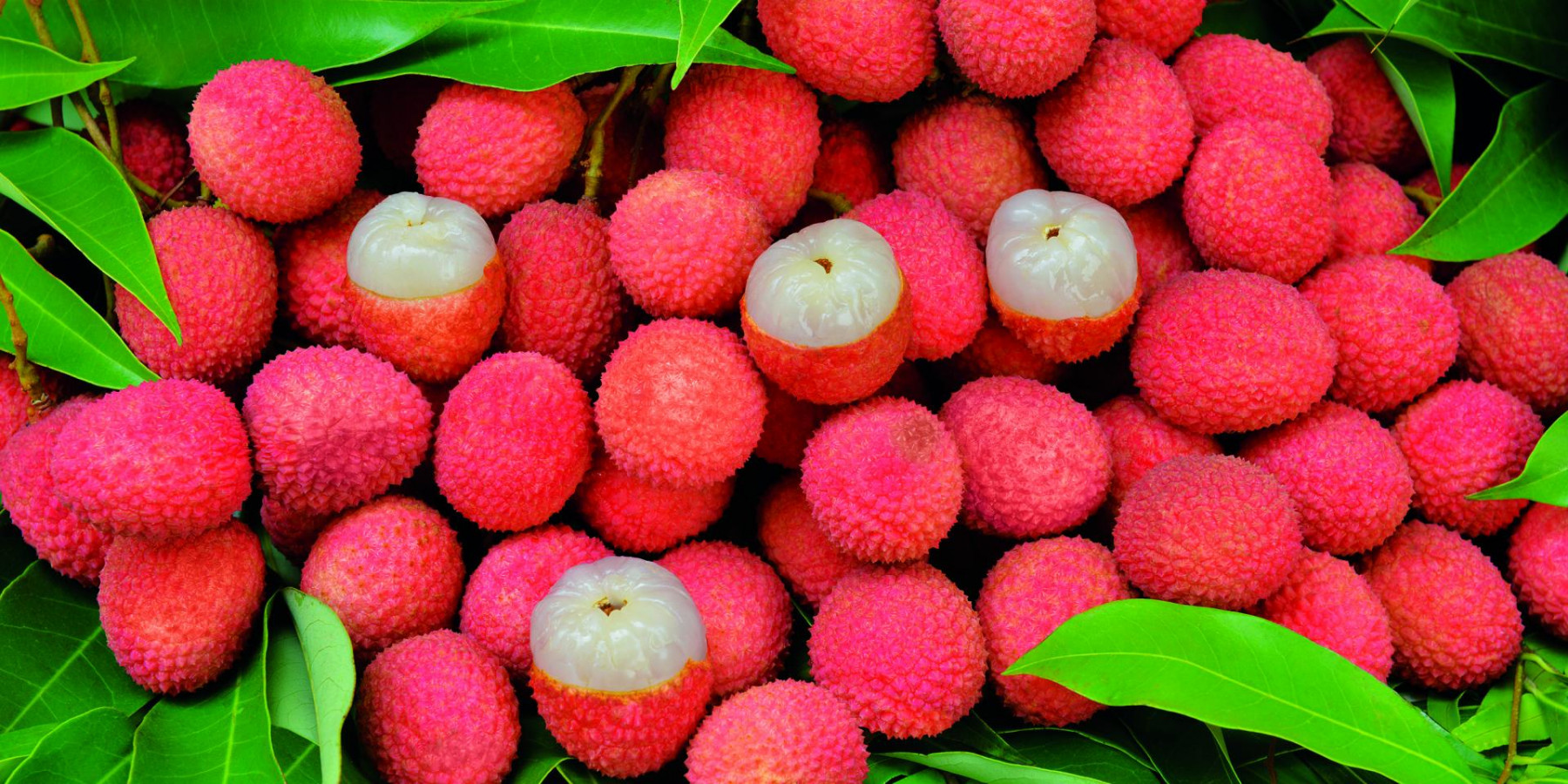 fruits33_letchis_-_credit_irt_-_serge_gelabert_dts_12_2018-1920x960.jpg