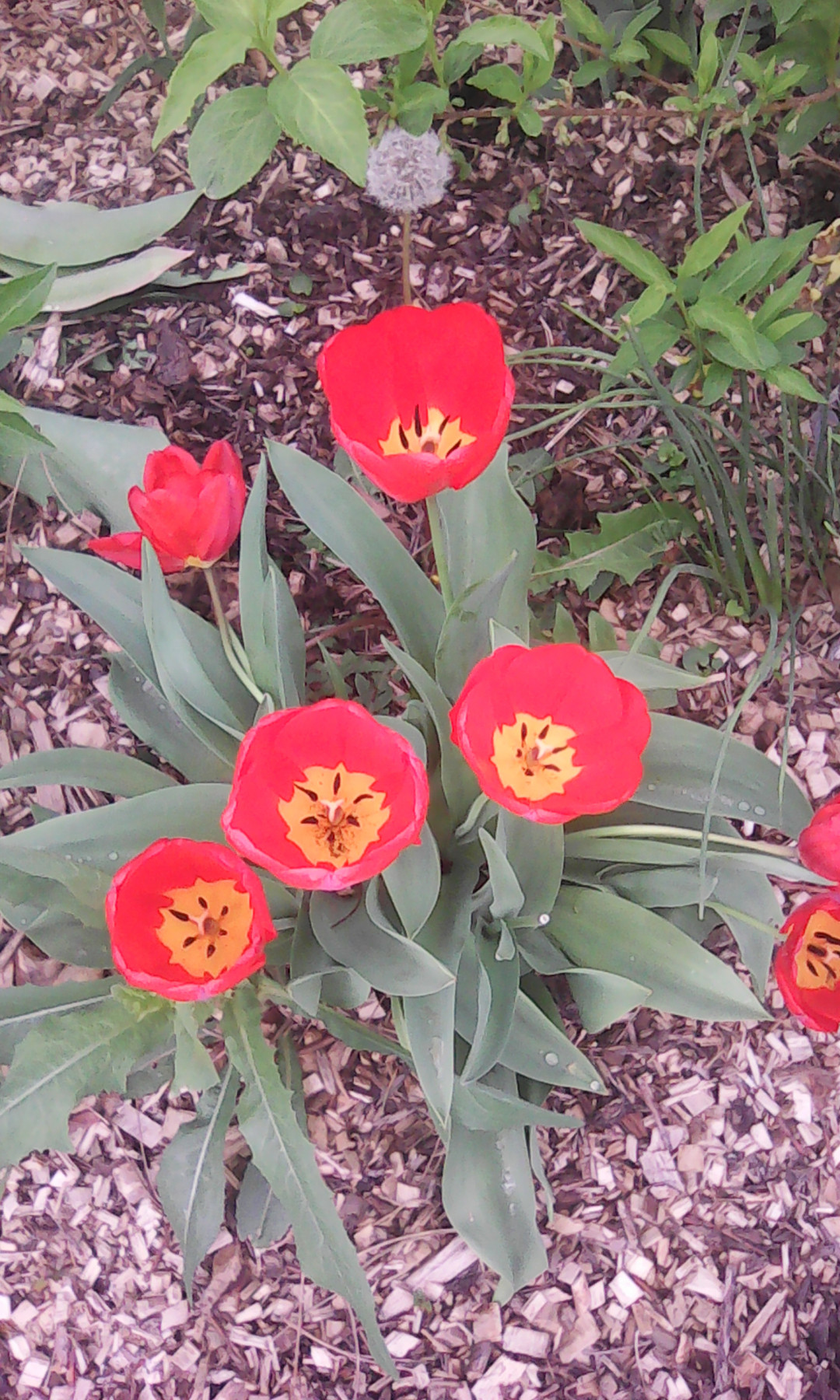 IMG_20220414_130645.jpg