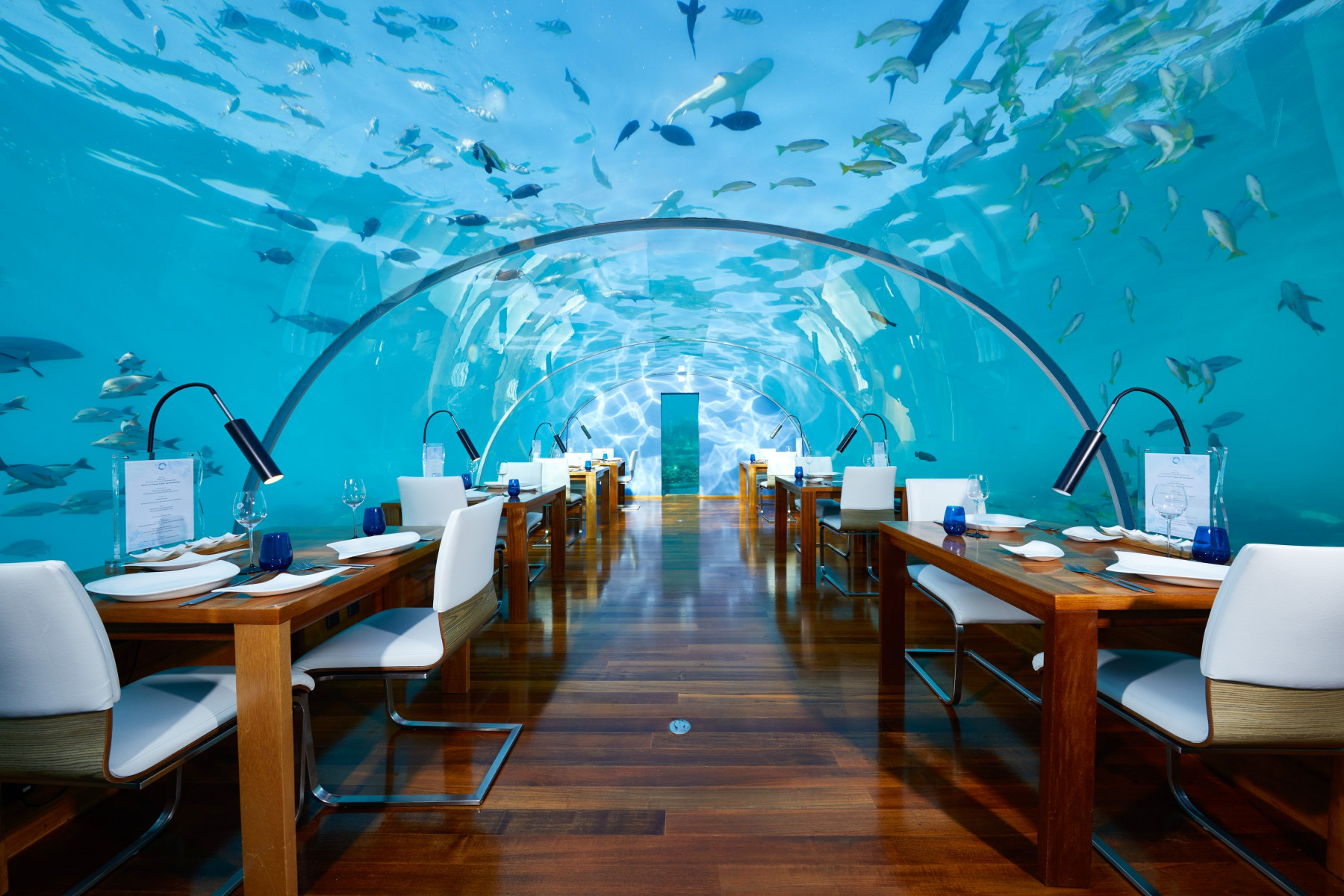 740b9555-150c-4a68-8e27-6f374f0104a4-h-conrad-maldives-rangali-island_f-and-b_ithaa-undersea-restaurant_hero_credit-justin-nicholas_hi-res-2.jpg