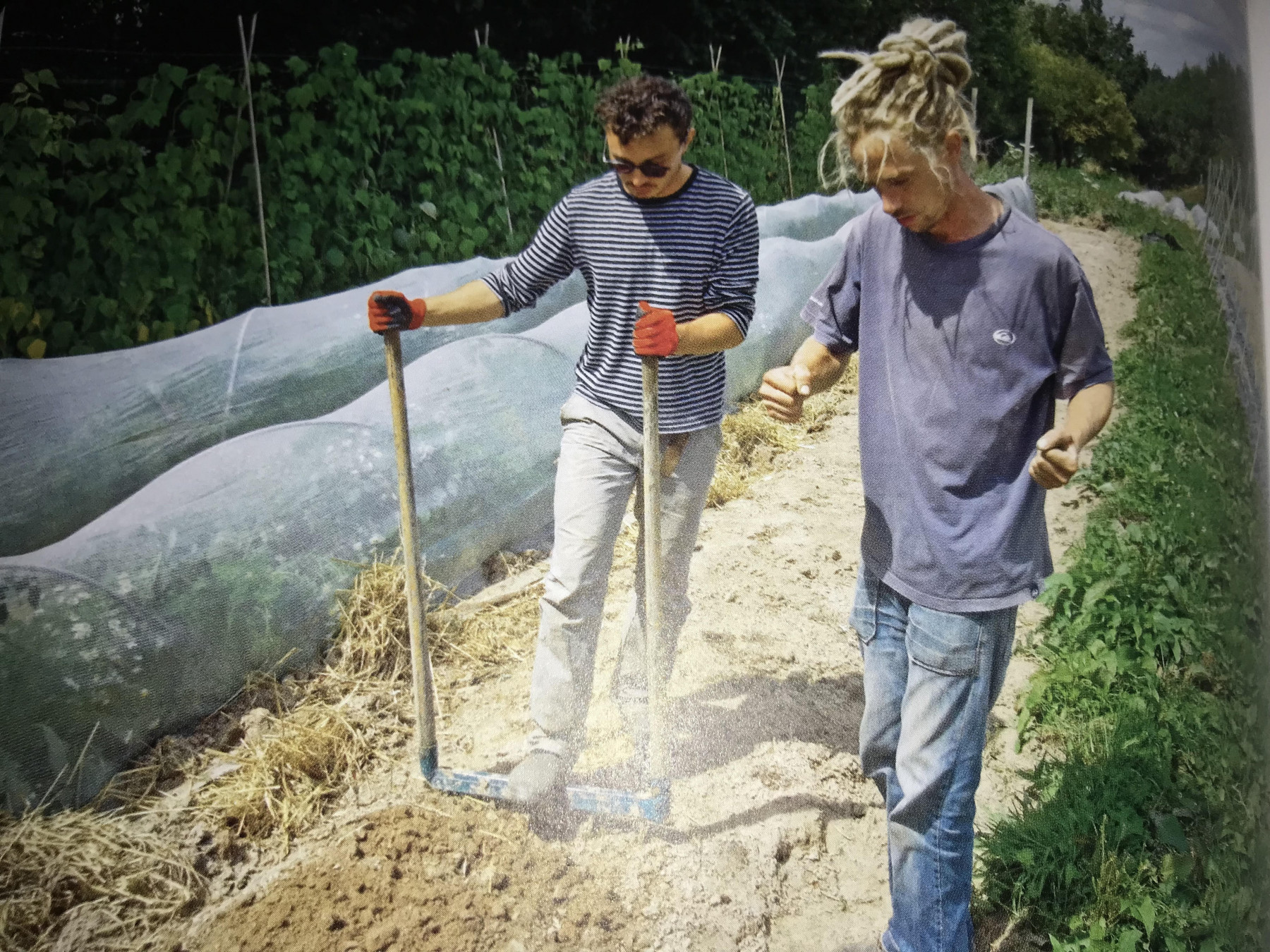Travail du sol à la grelinette