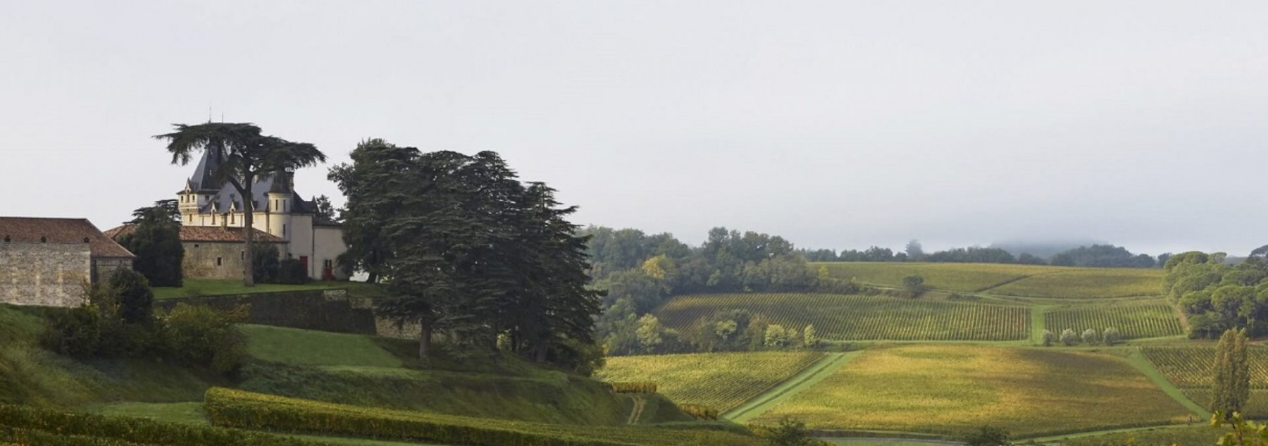 Chateau_de-Pressac-vue éloignée.jpg