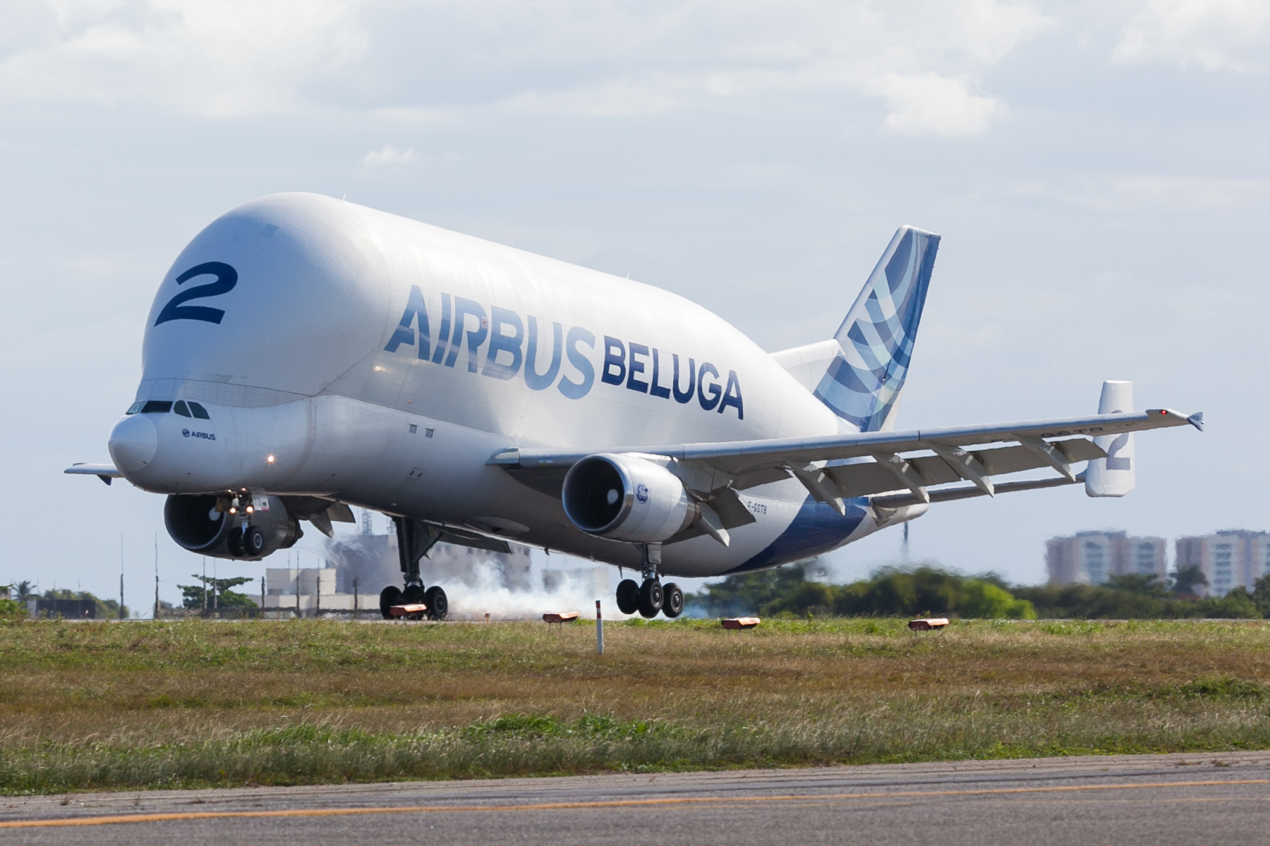 Beluga-landing-in-Brazil.jpg