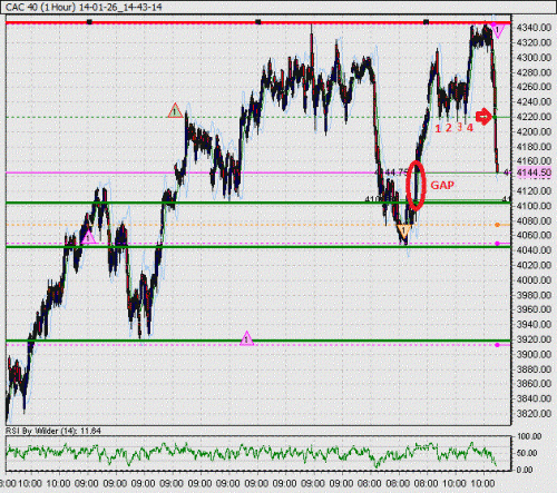 CAC autopsie 24012014.gif