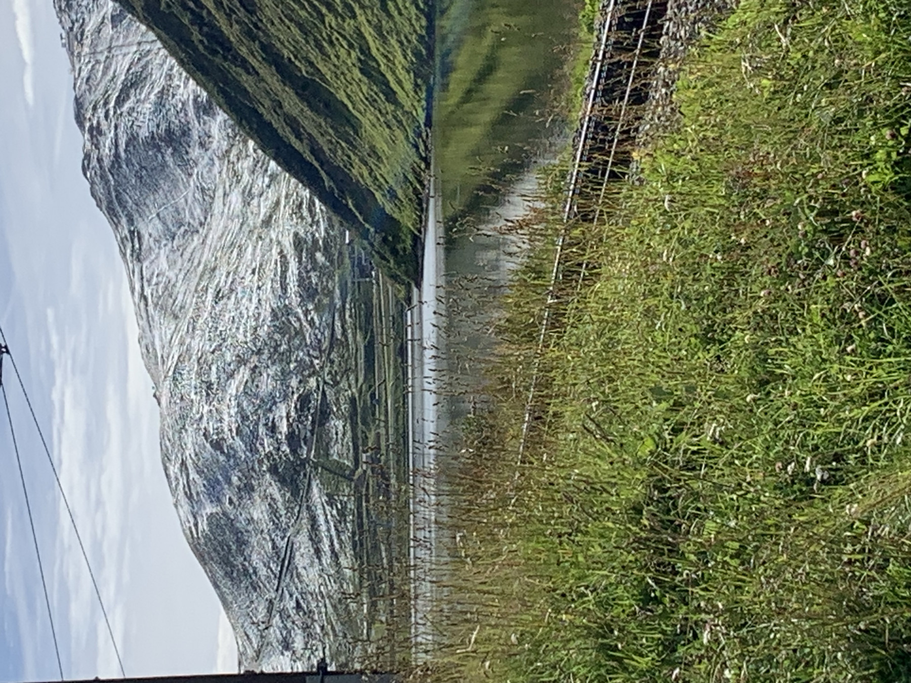 IMG_0998.jpeg