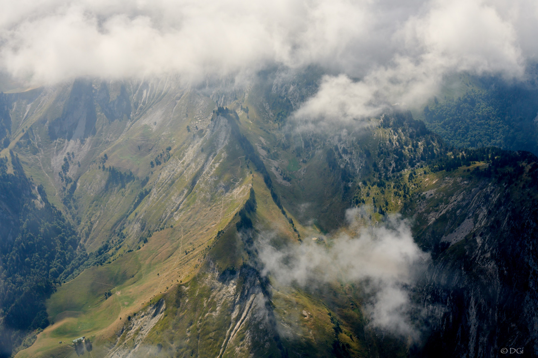 DSC_8771.jpg