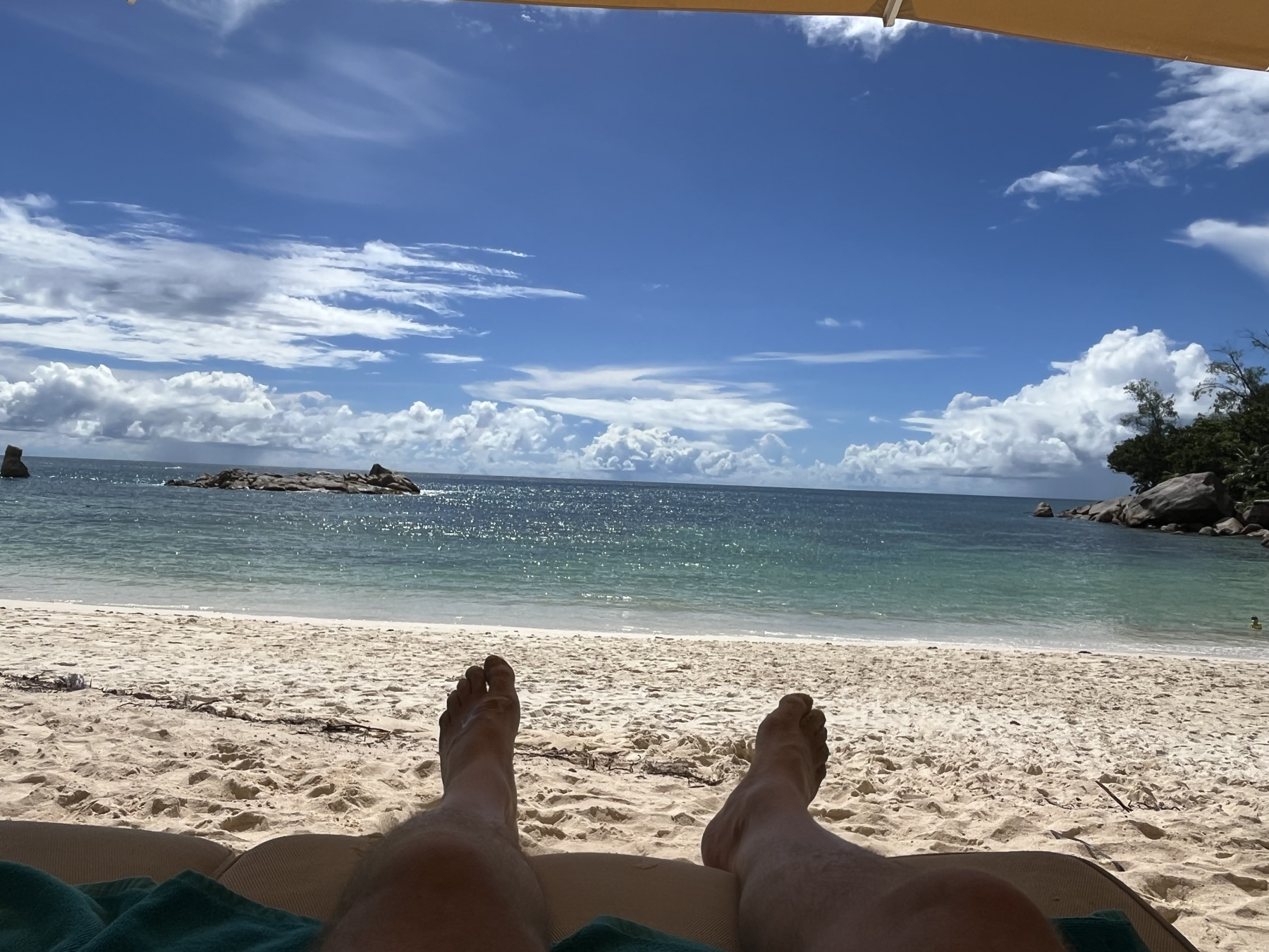 IMG_2472.jpeg