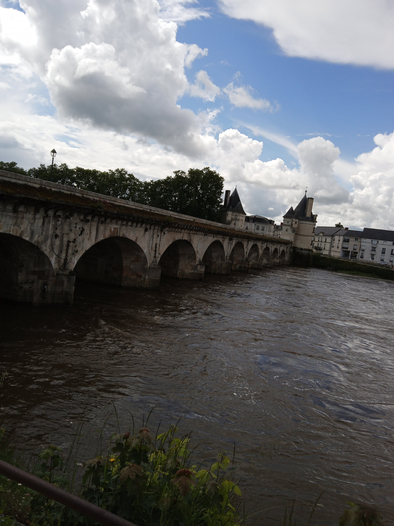 IMG_20240523_155337-min.jpg