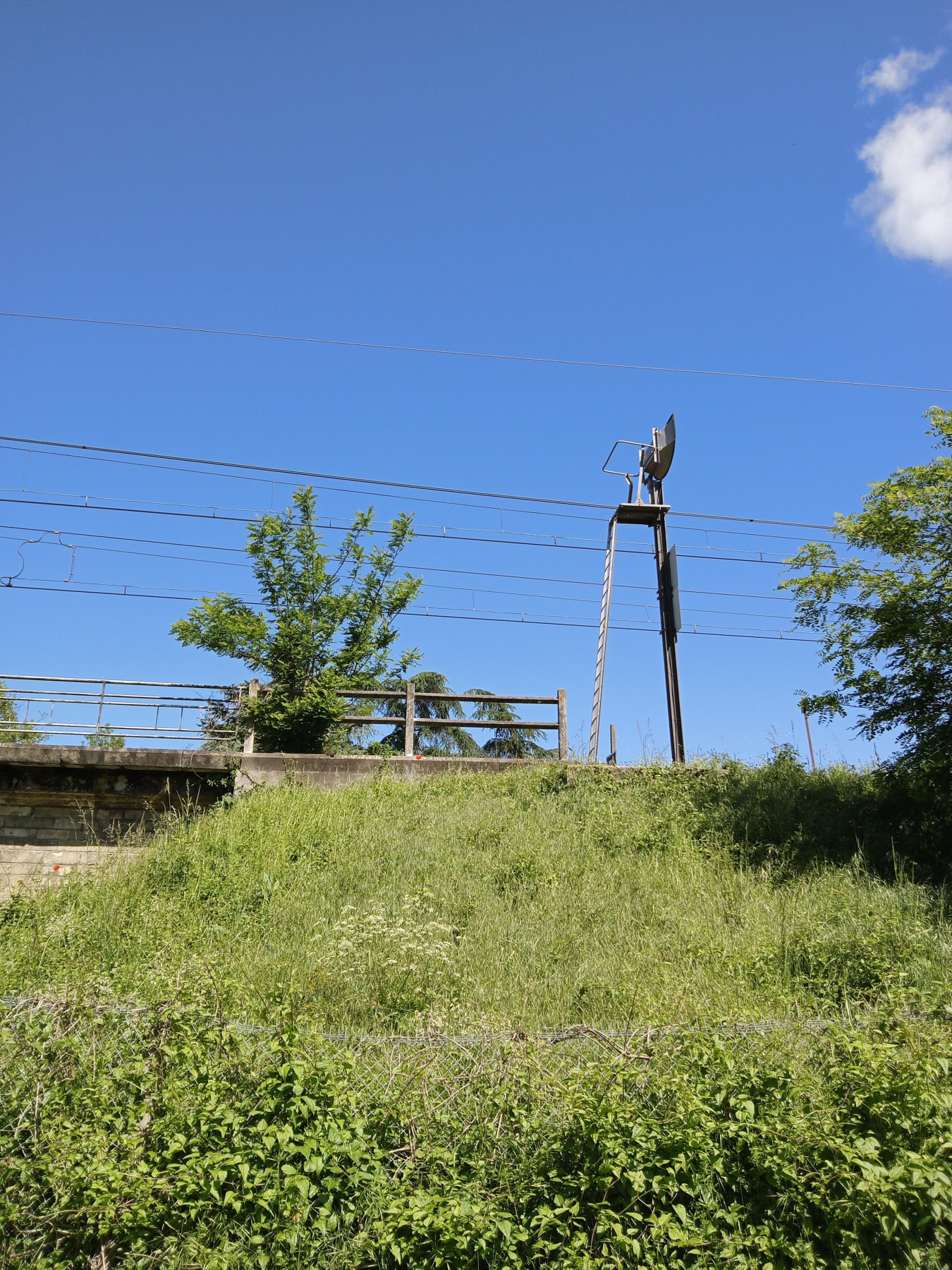 IMG_20240519_111841-min.jpg