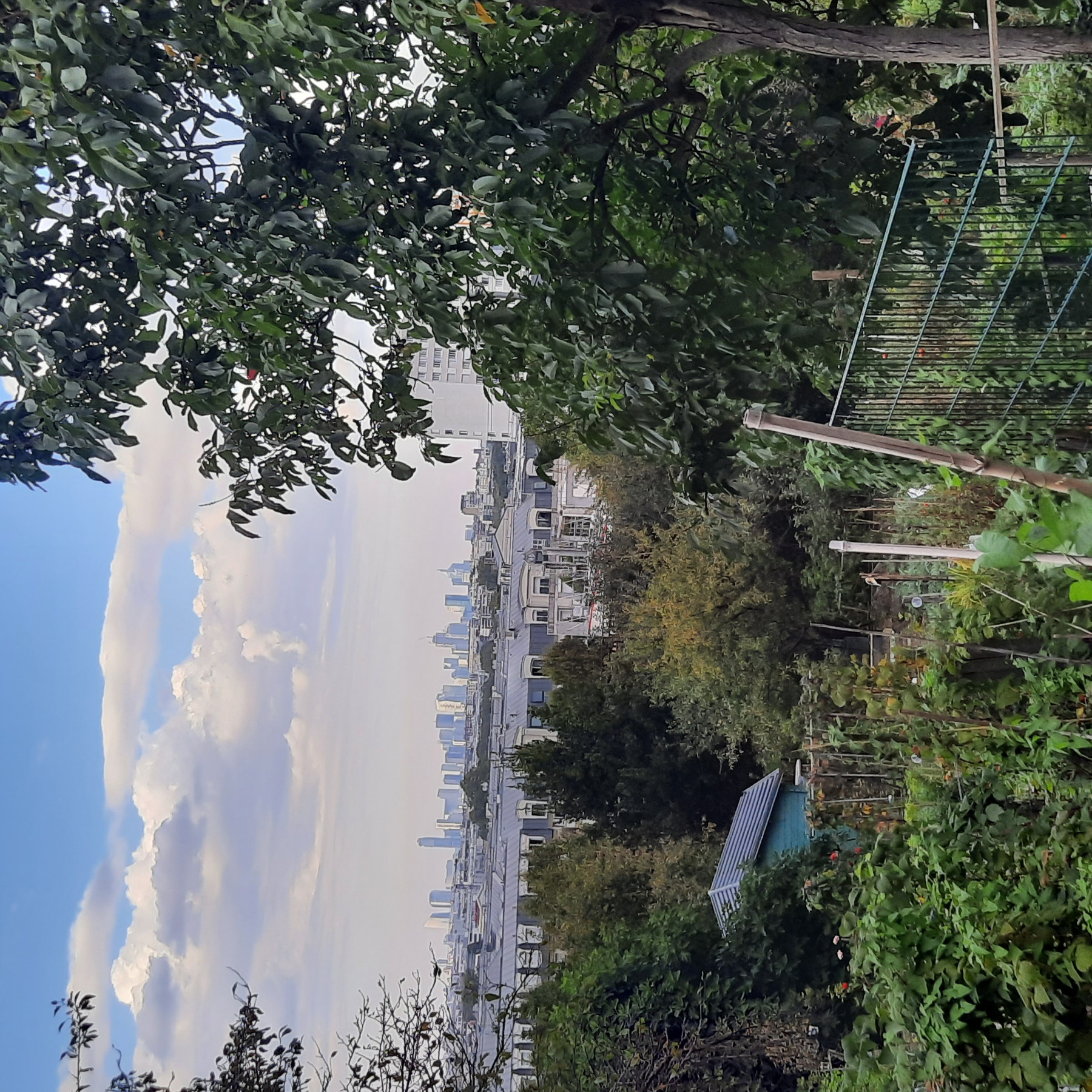 20240920_175343.jpg