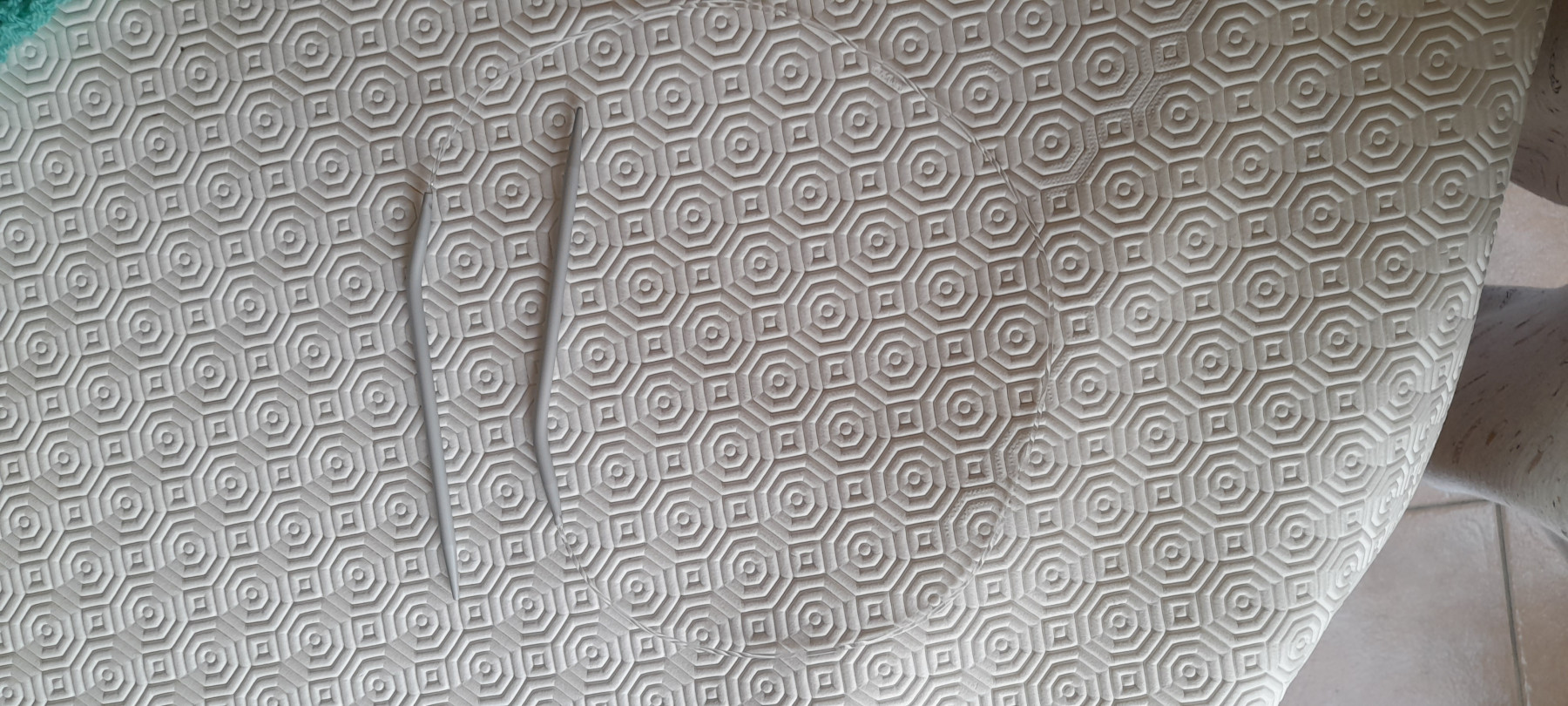 20240929_161710.jpg