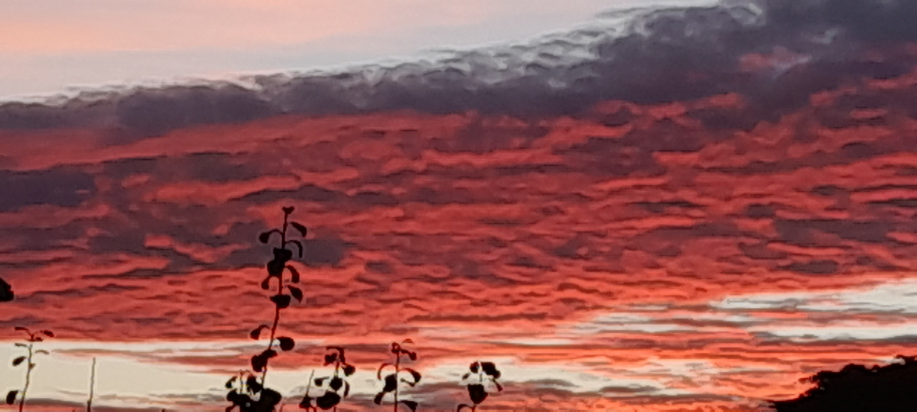 20241026_190759.jpg