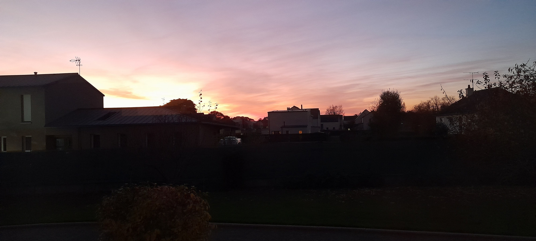 20241113_180232.jpg