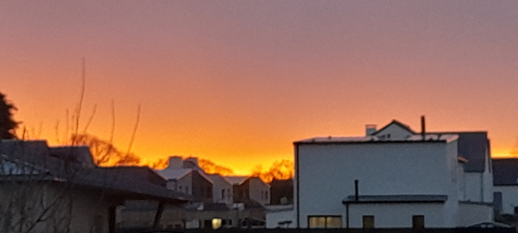 20250125_174951.jpg