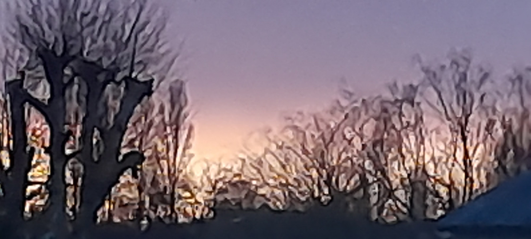 20250125_175023.jpg