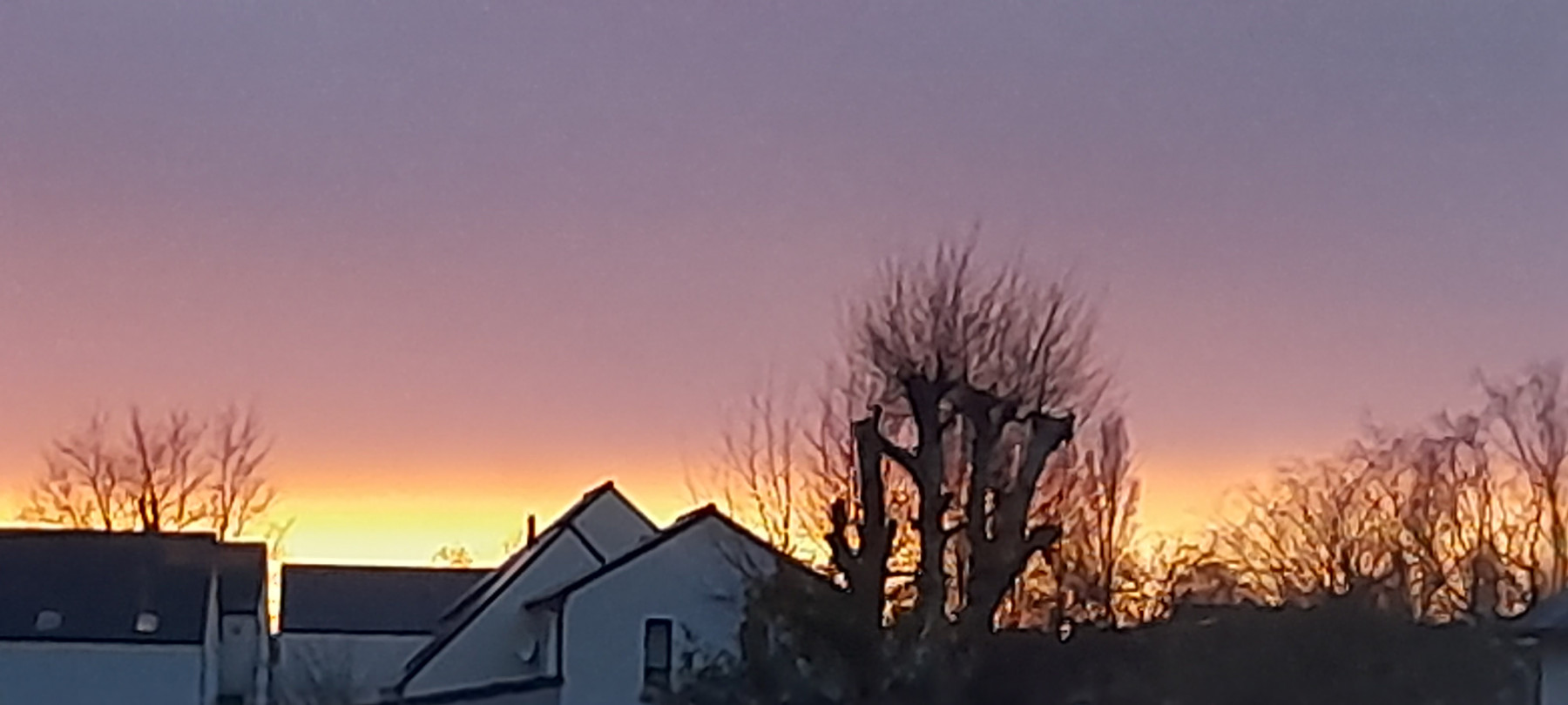 20250125_175038.jpg