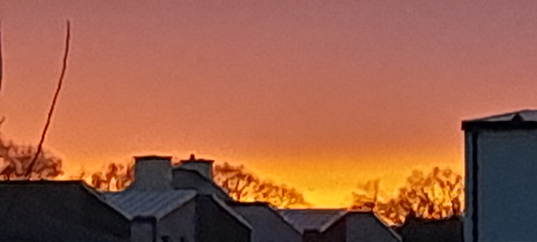 20250125_175101.jpg