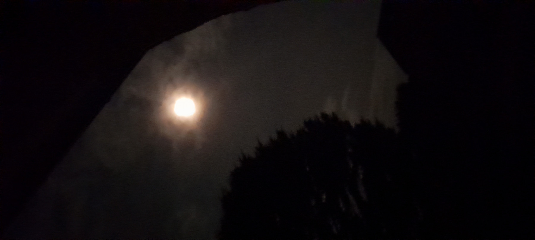 20250215_004633.jpg