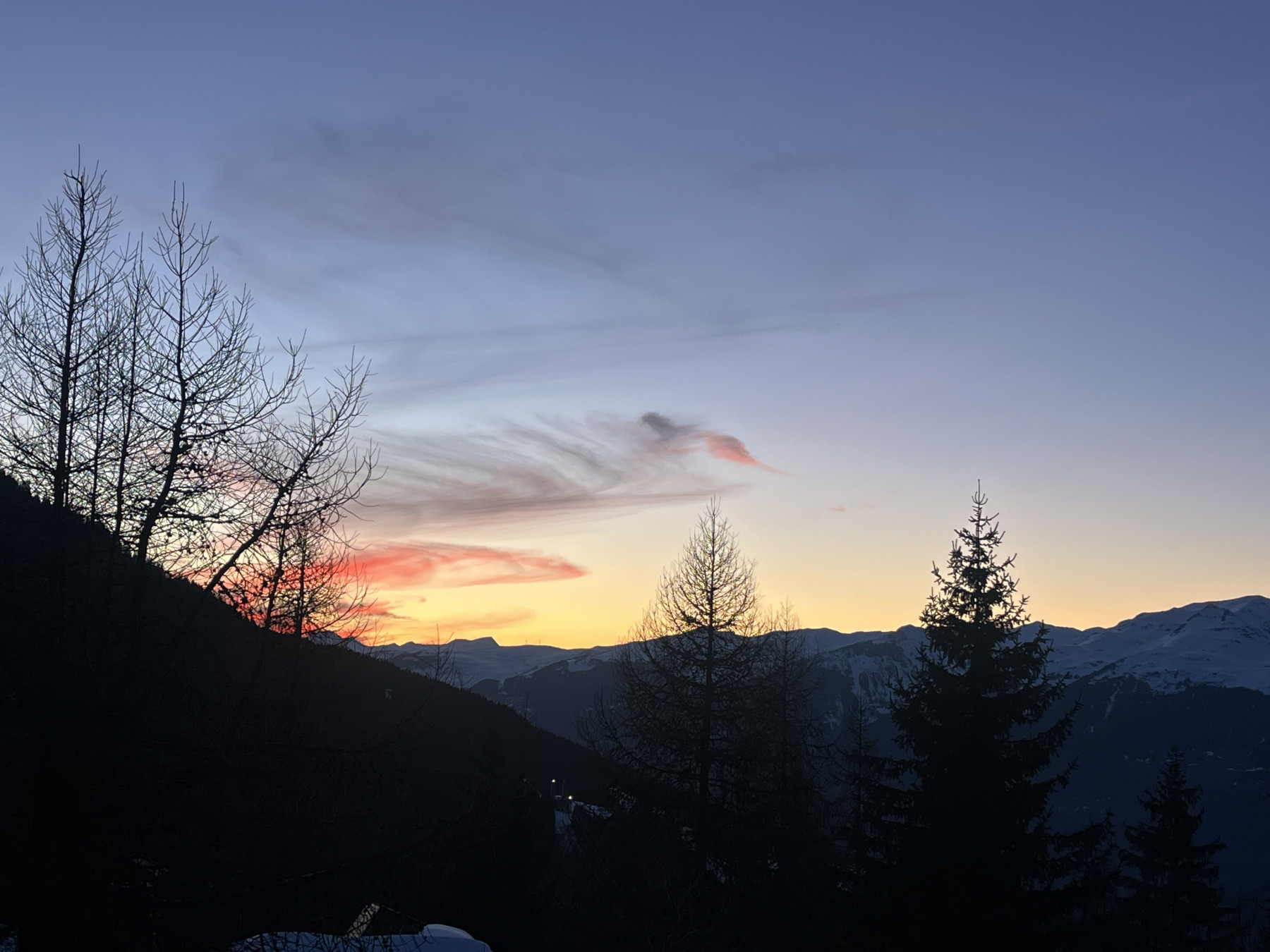 IMG_4051.jpeg