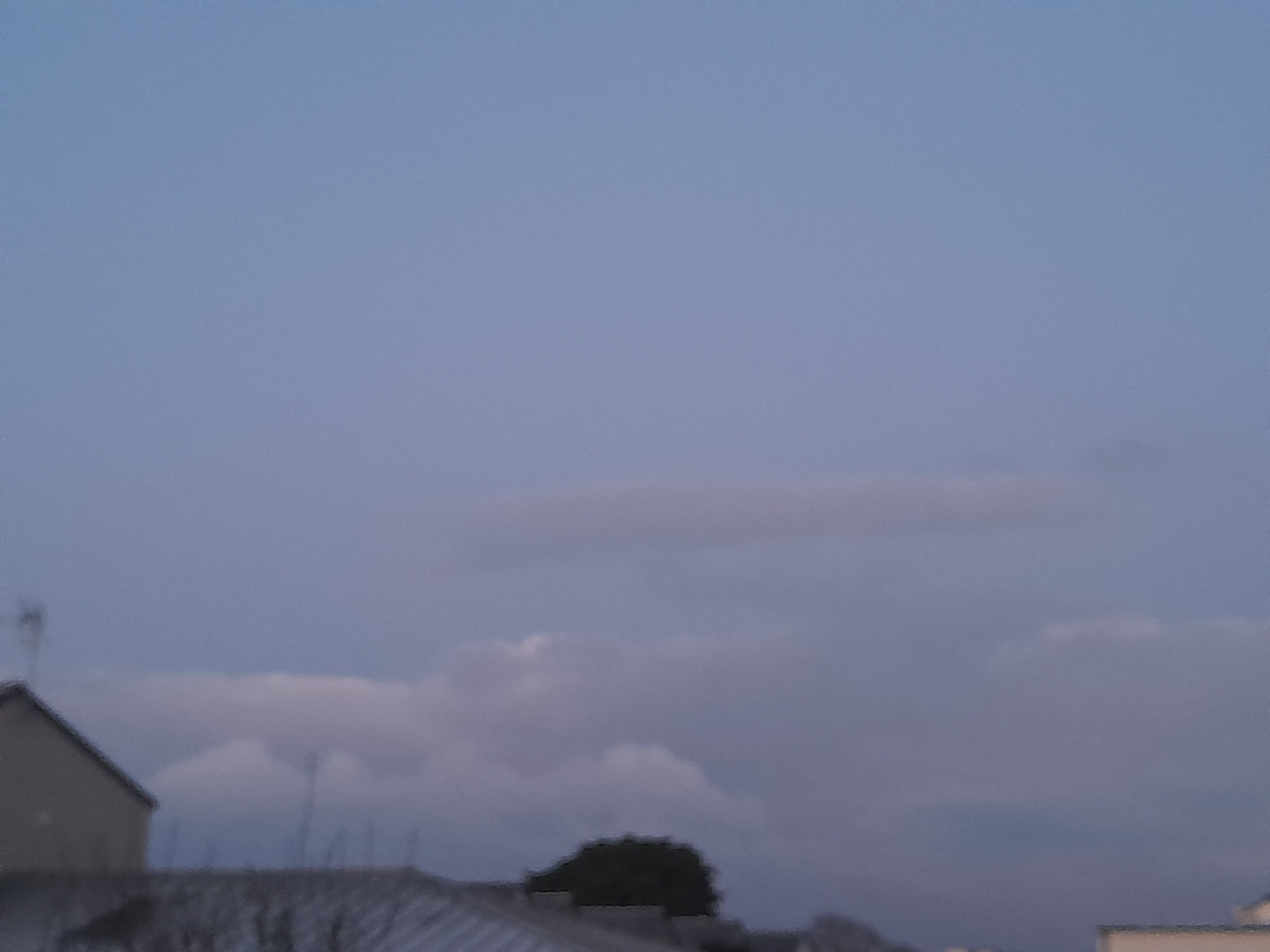 20250314_070607.jpg