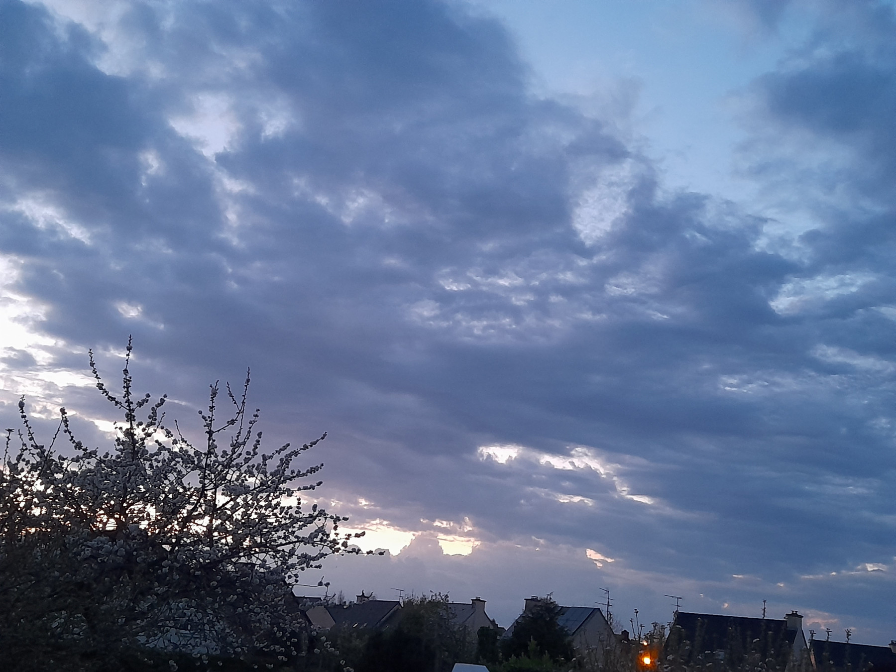 20250412_211815.jpg