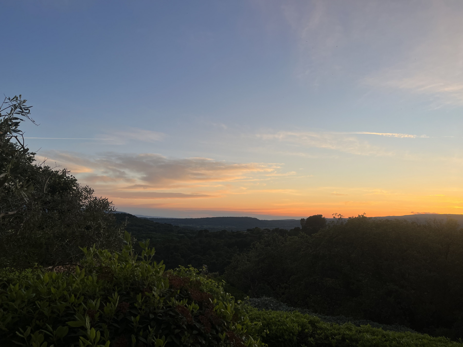 IMG_4269.jpeg