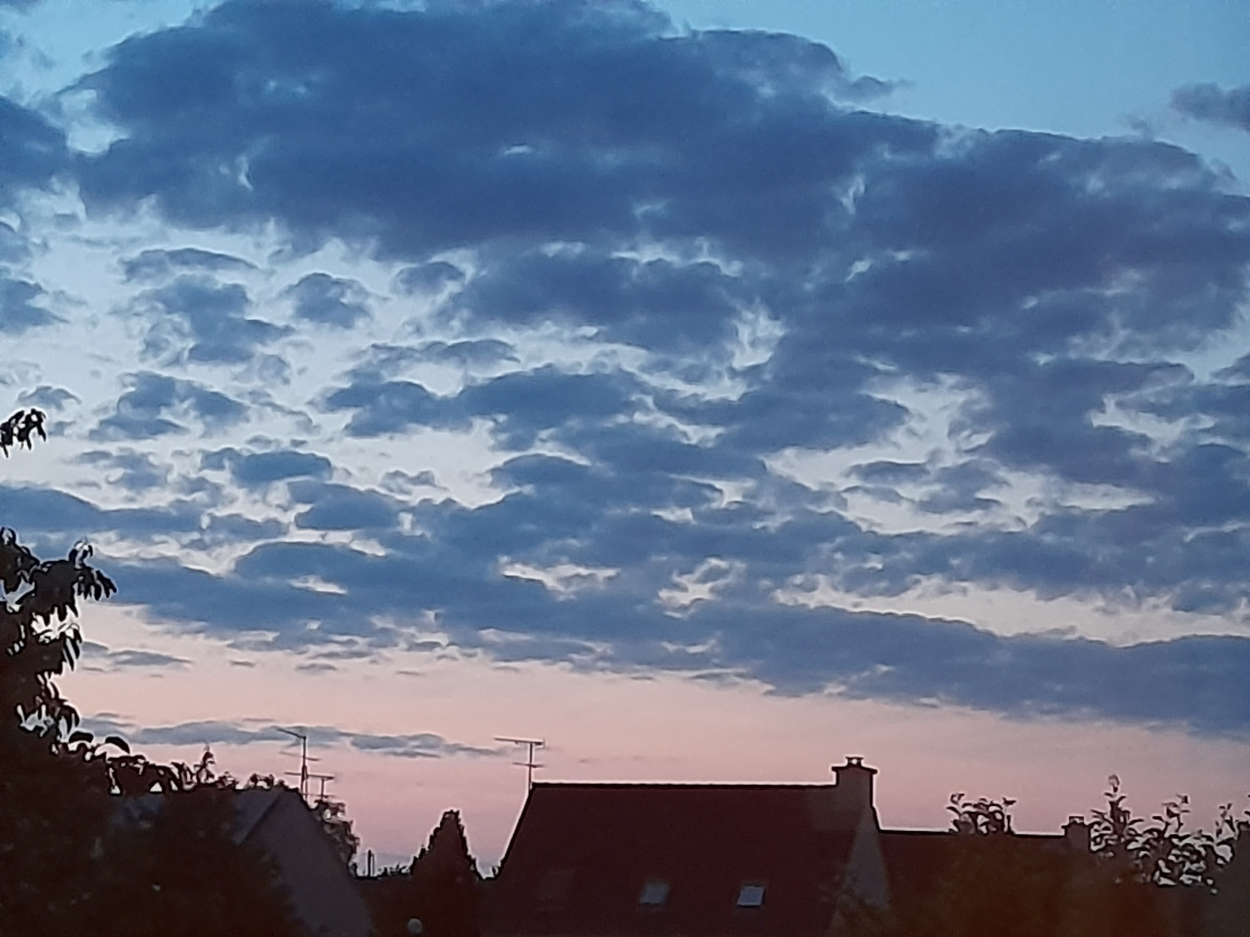20250602_223442.jpg