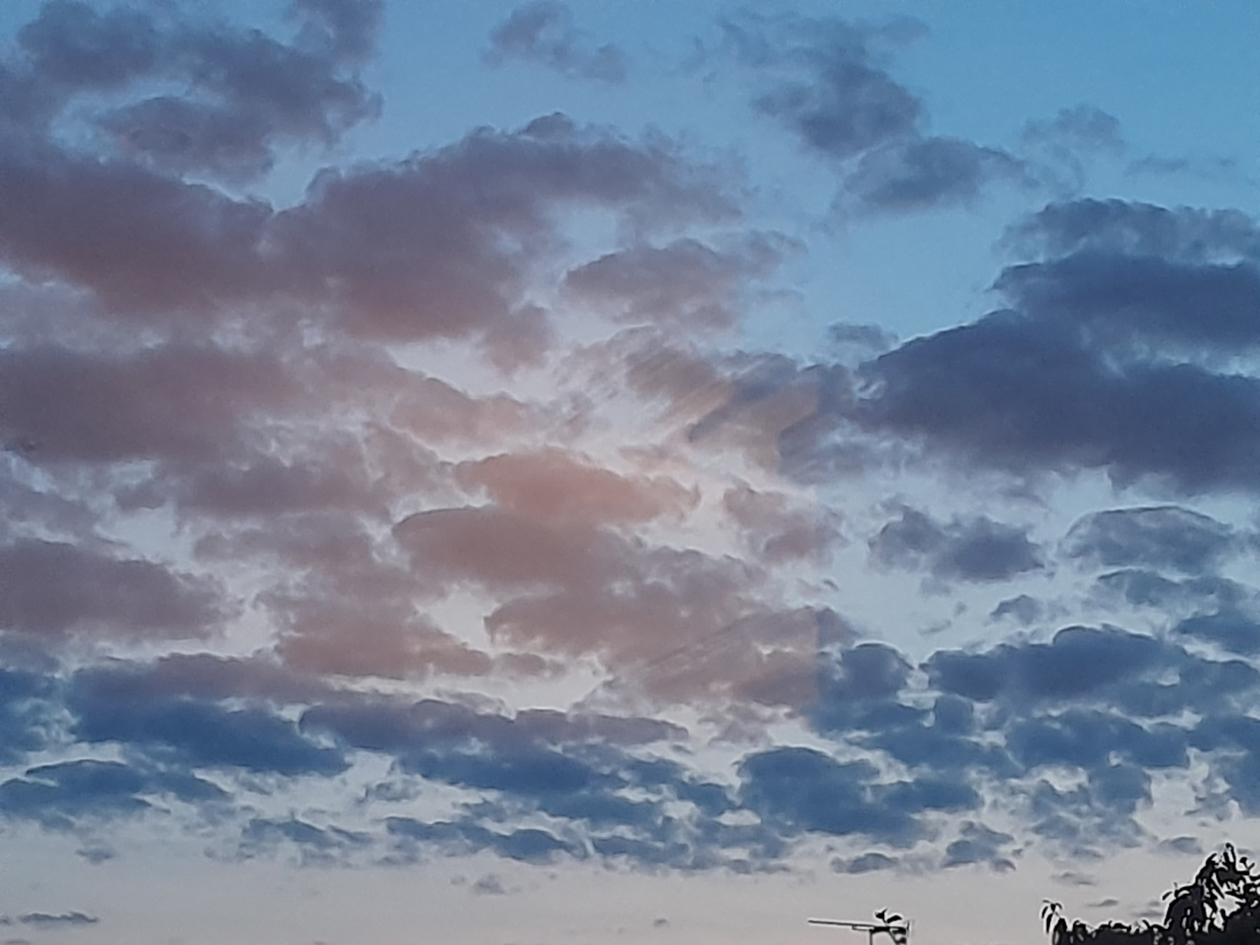 20250602_223427.jpg