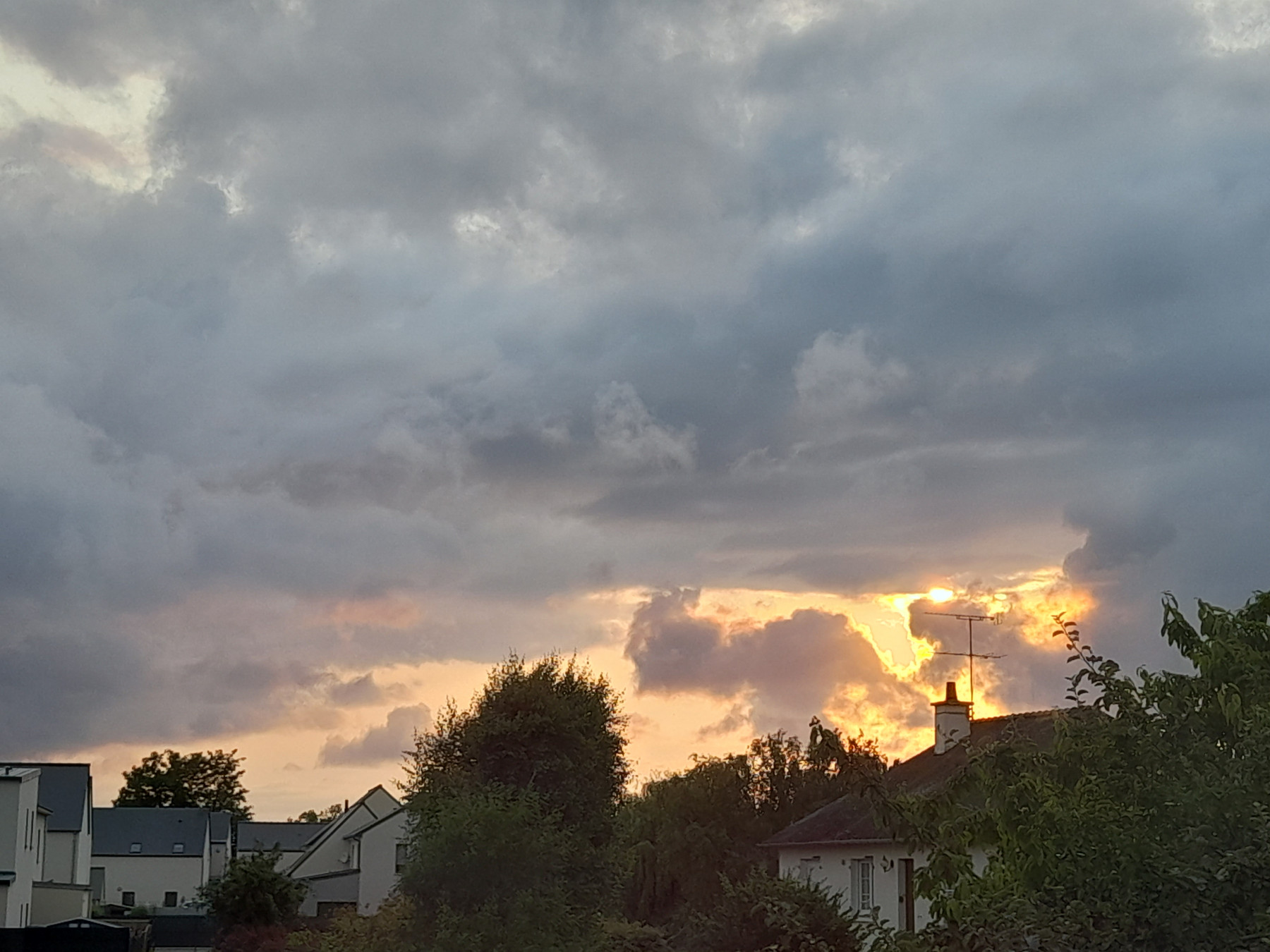 20250607_211241.jpg