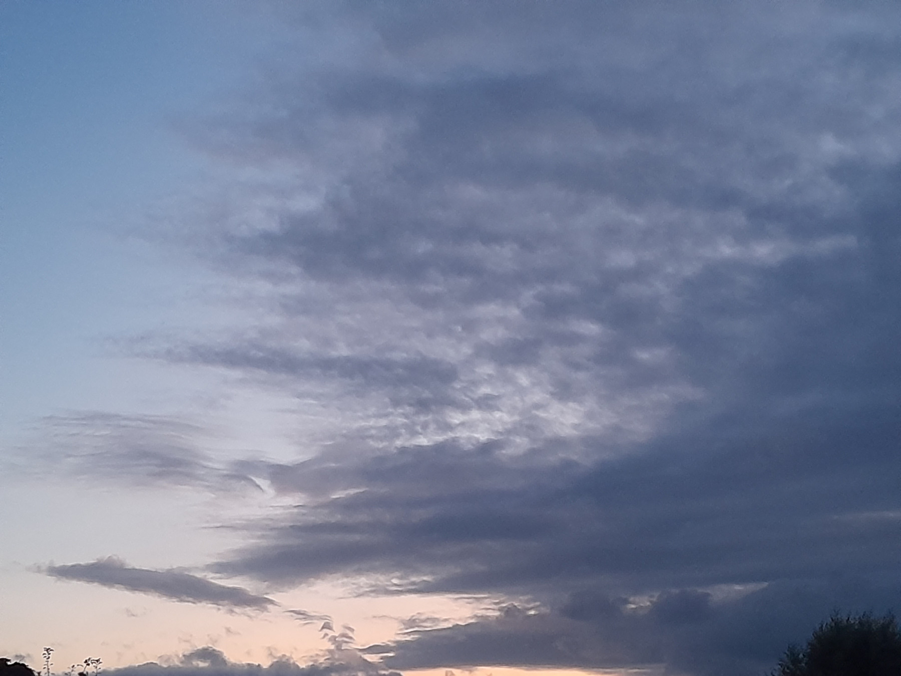 20250721_222852.jpg