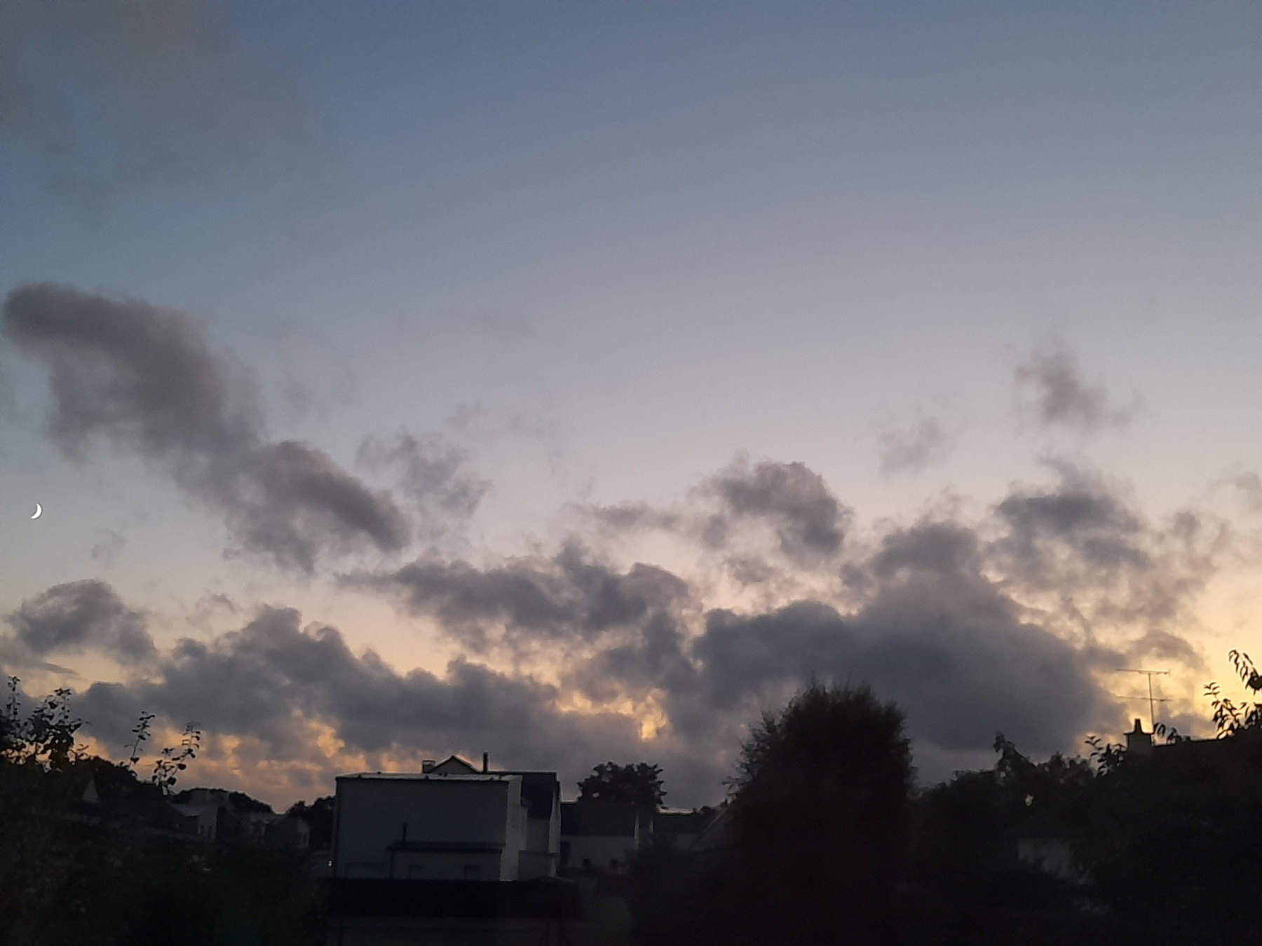 20250728_221851.jpg