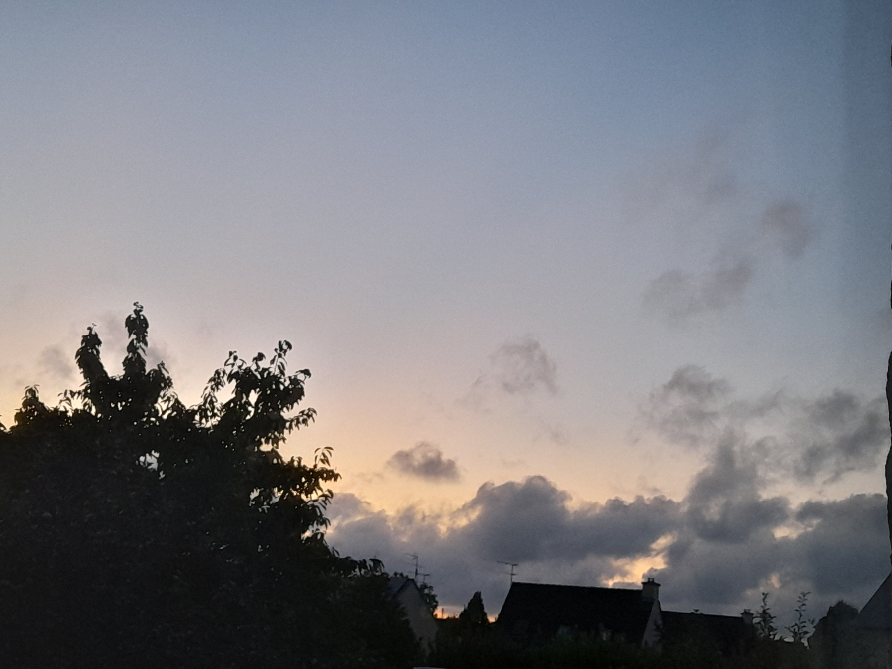 20250728_221758.jpg