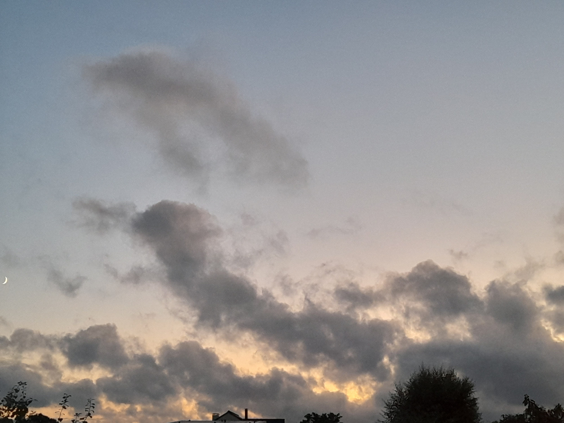 20250728_221745.jpg
