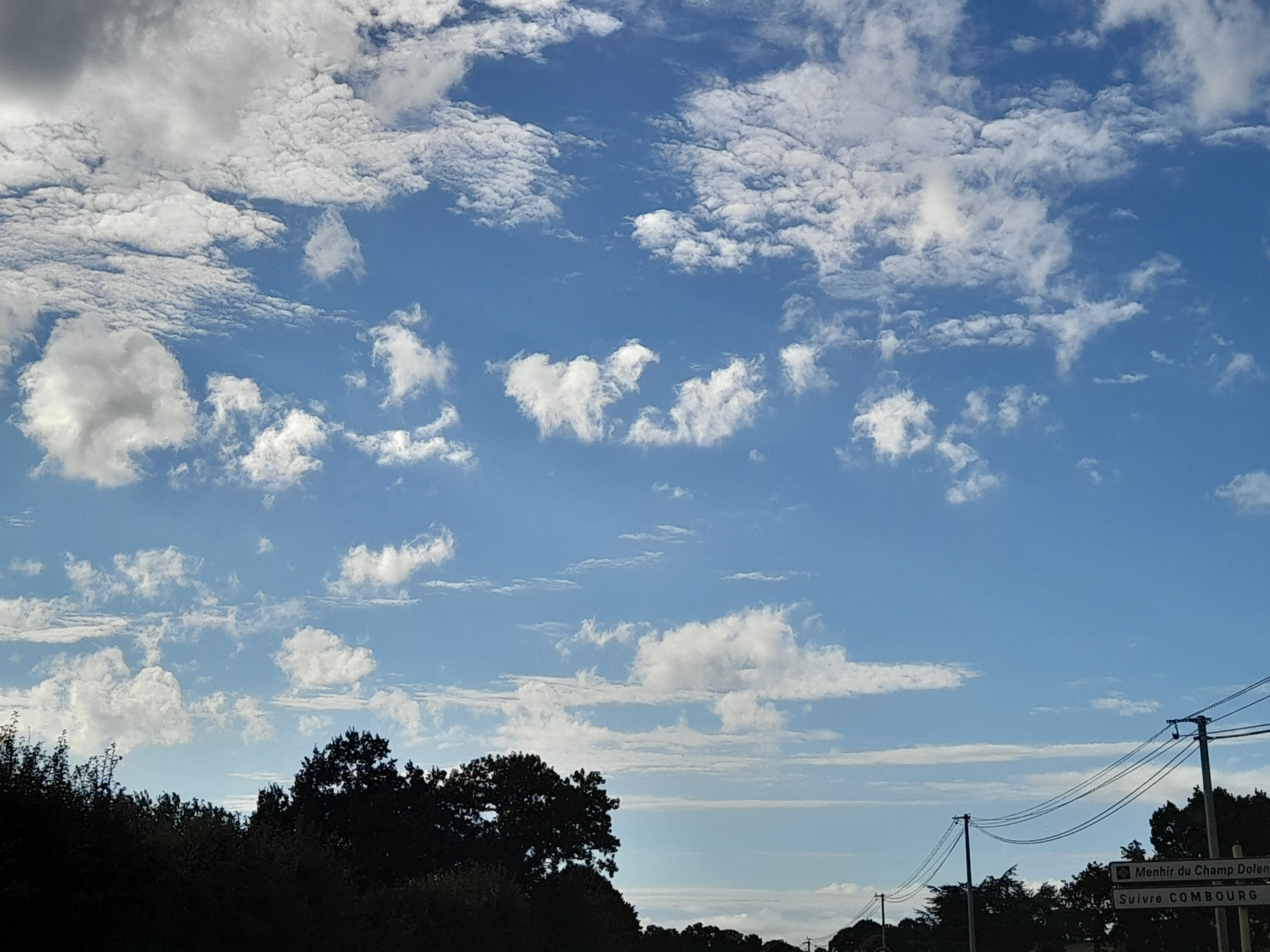 20250804_184000.jpg
