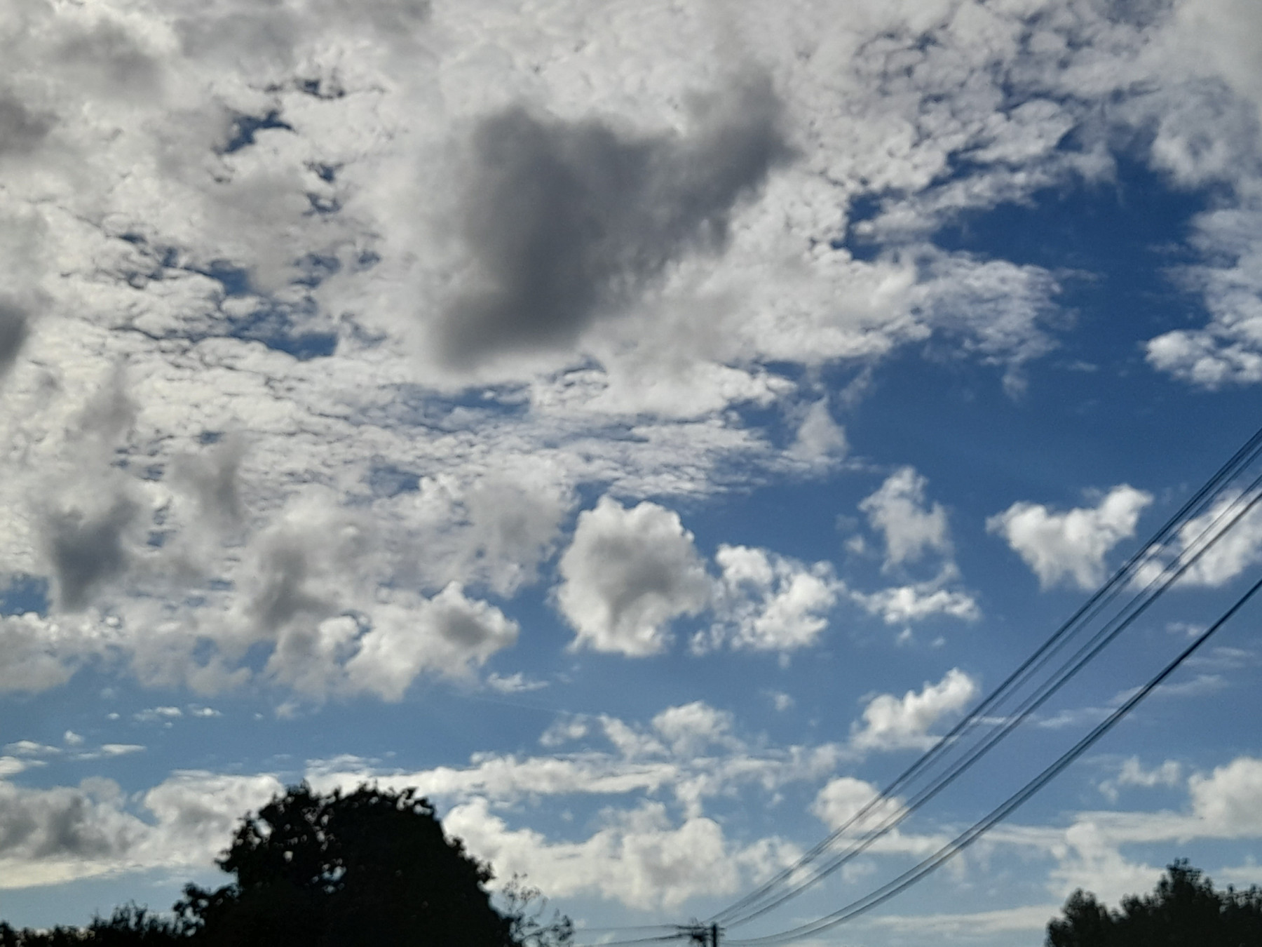 20250804_183935.jpg