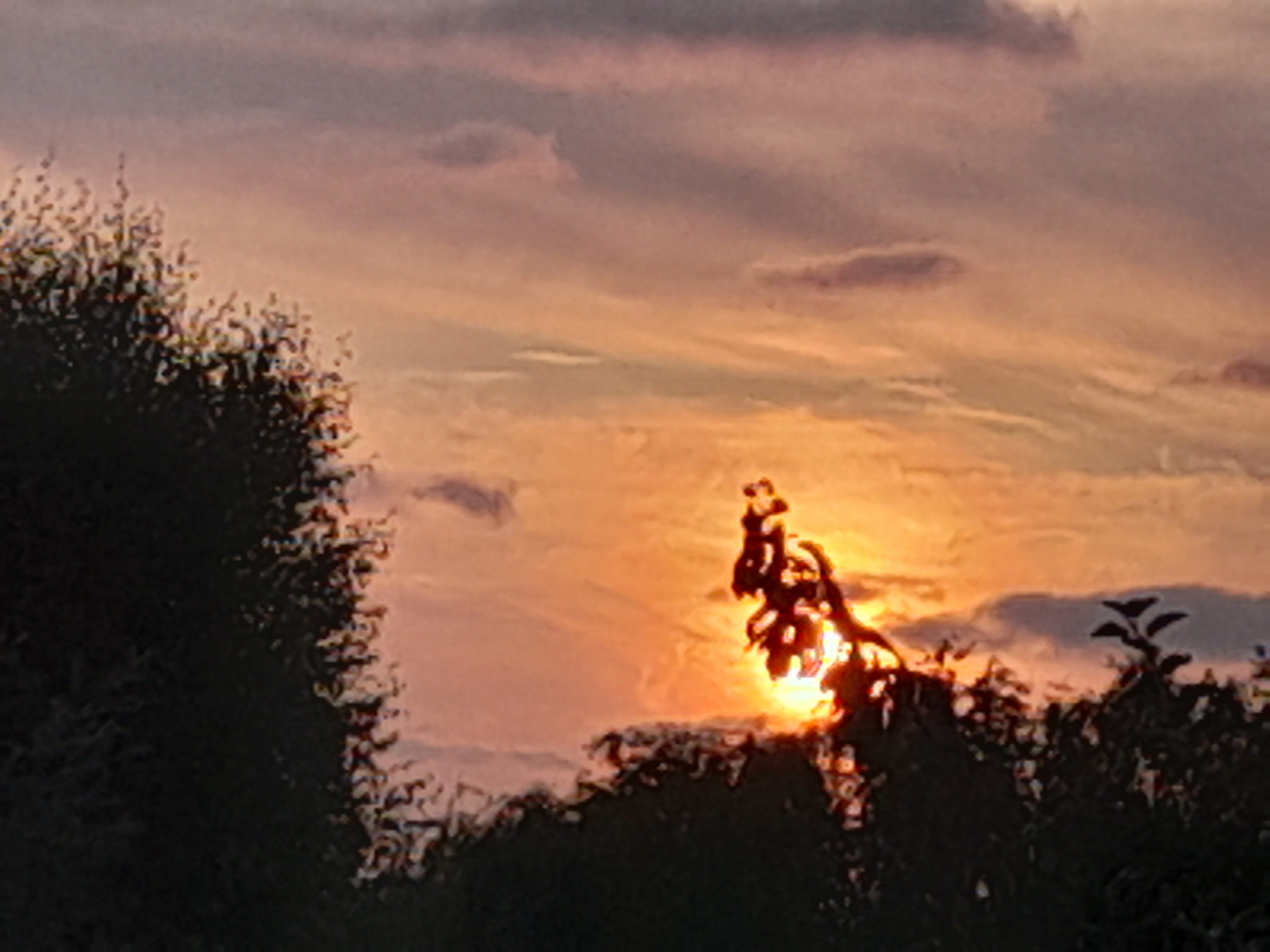 20250805_211228.jpg