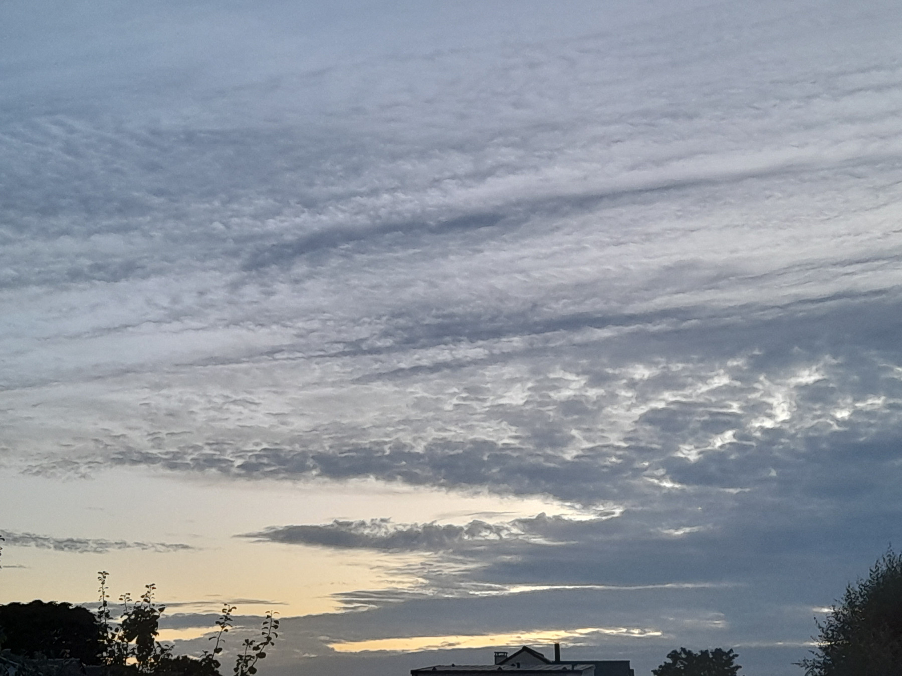 20250806_215628.jpg