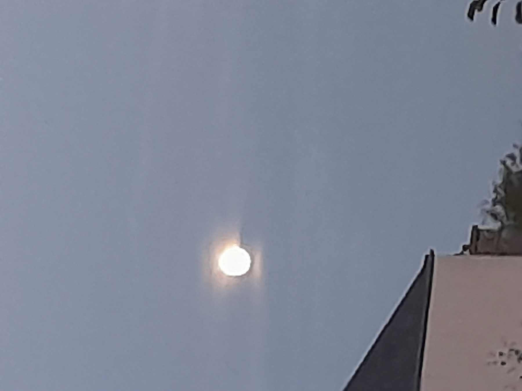 20250806_215715.jpg