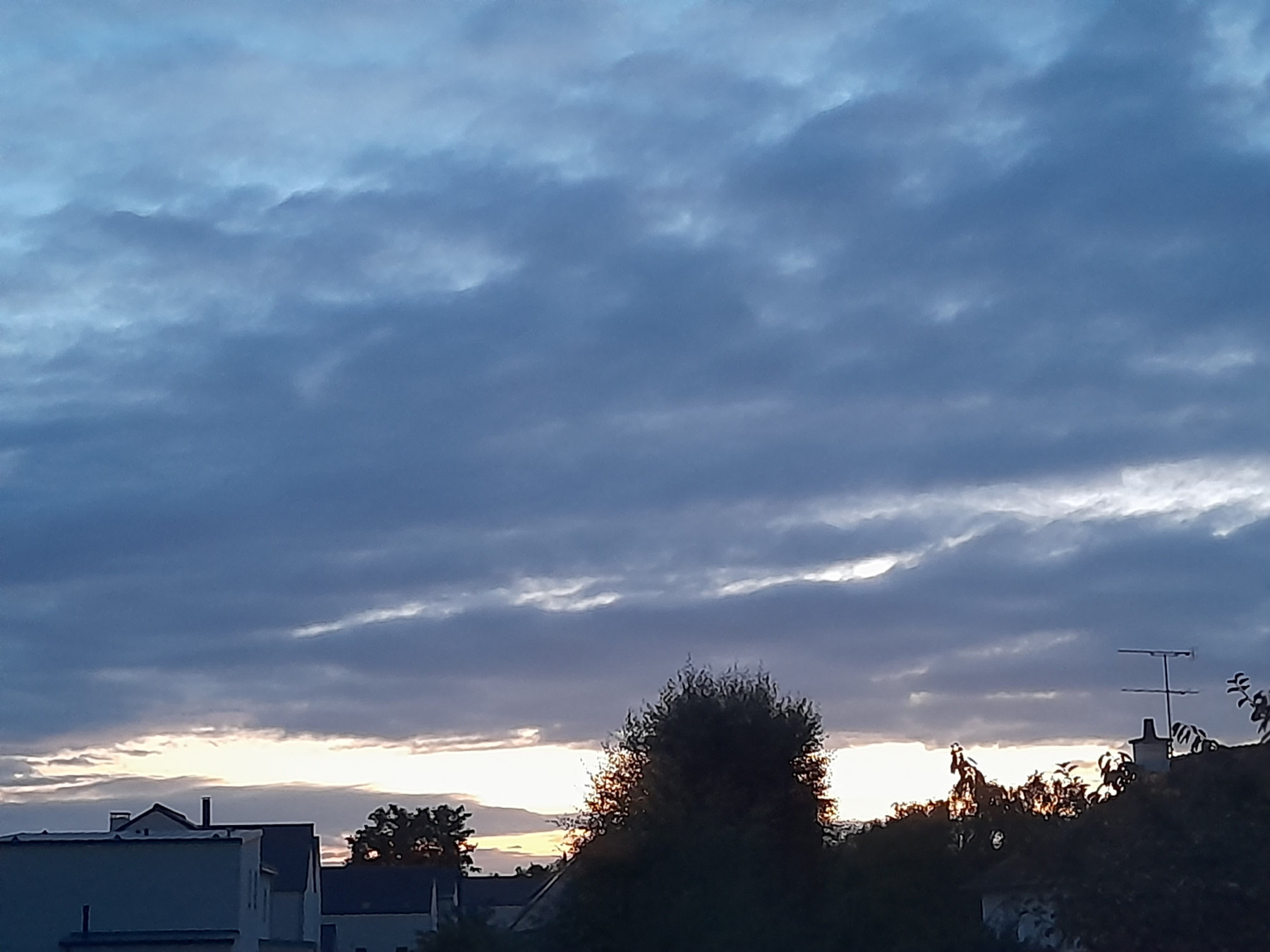 20250807_220226.jpg